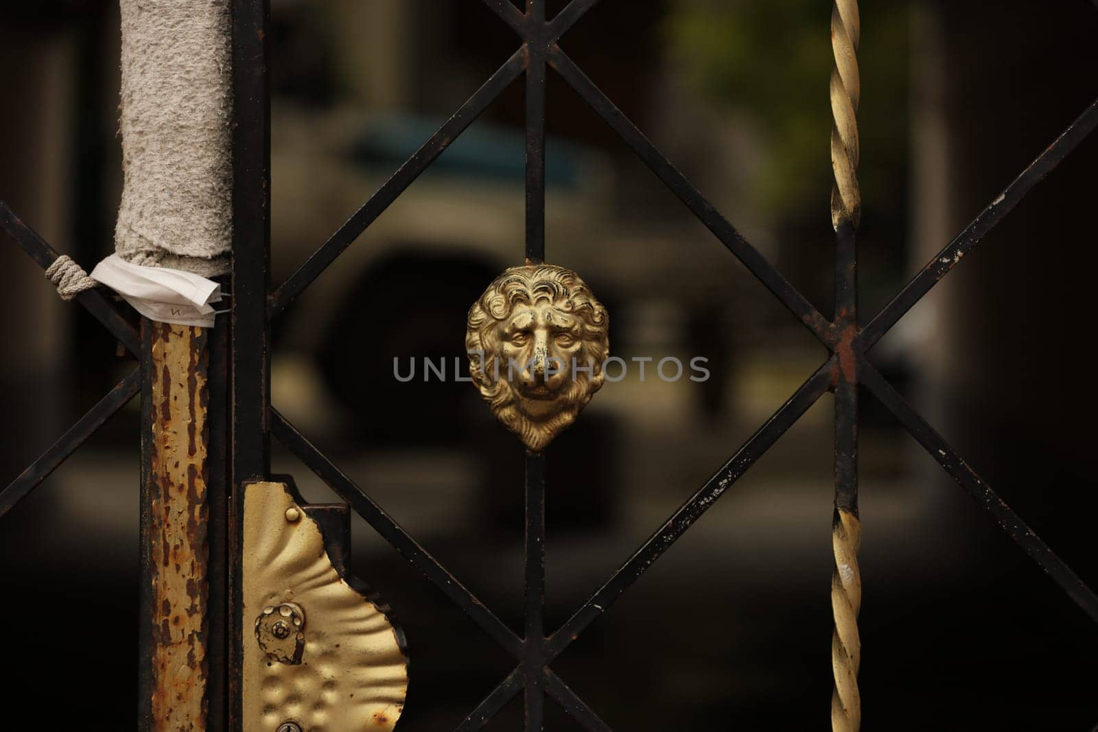 beautiful wrought iron gates, the head of a lion.