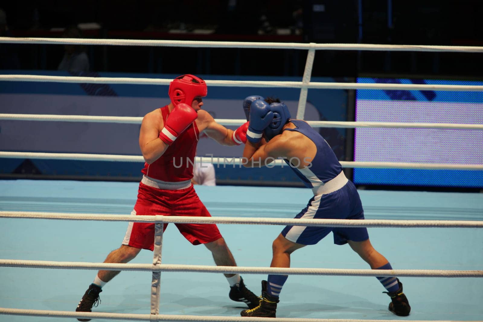 St. Petersburg, Russia, November 23, 2016 World Boxing Championship men, boxers in the ring,.Boxing match .