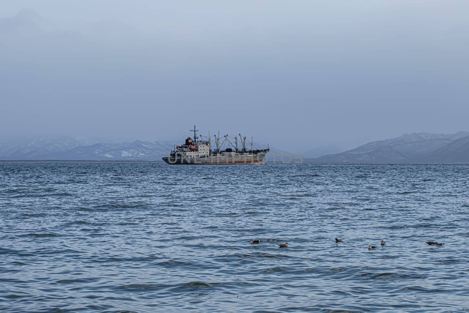 The Fishing seiners  in Avacha Bay in Kamchatka peninsula