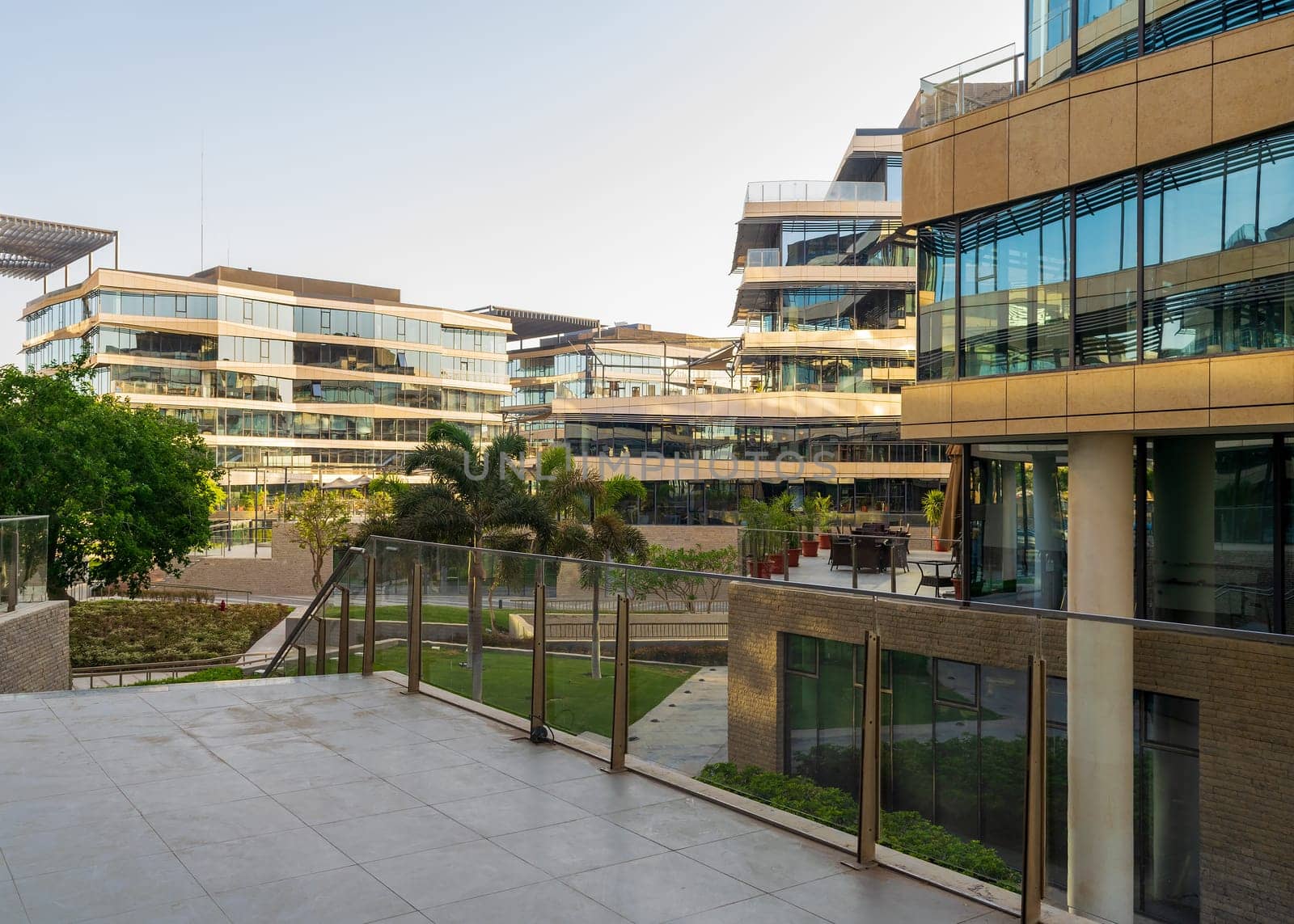 Contemporary urban city district with well run glass building, verdant lawn and palm trees before sunset
