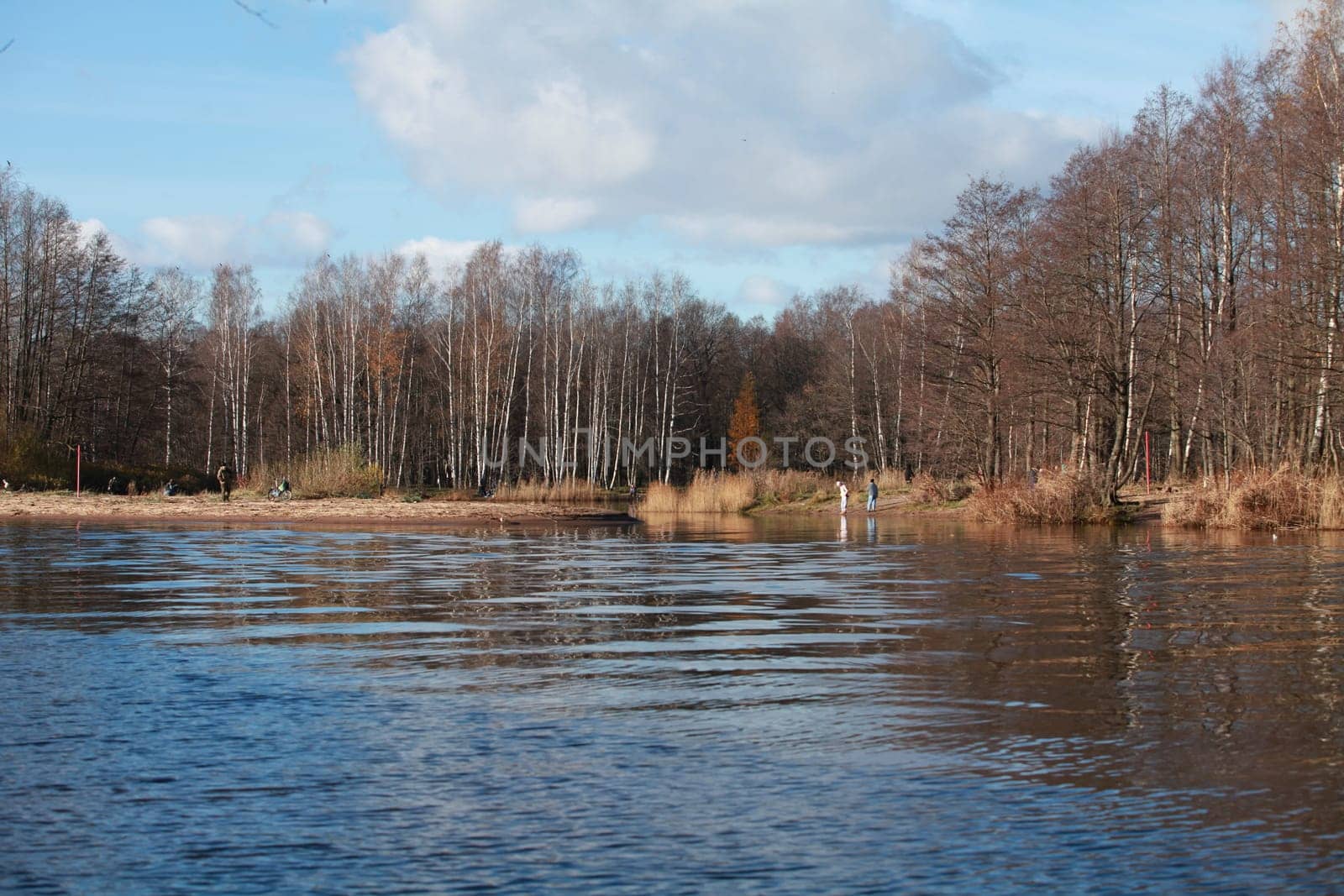 river autumn landscape, bare trees, warm sunny day people resting in nature