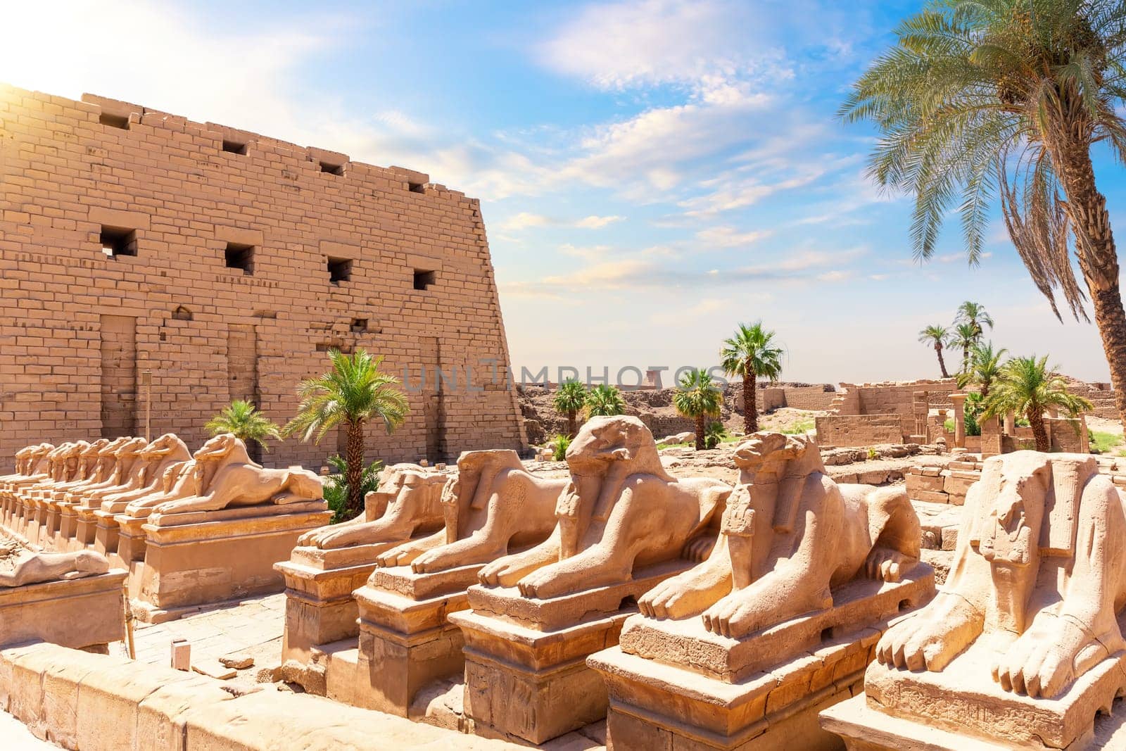 Avenue of Sphinxes or The King s Festivities Road, ram-headed statues of Karnak Temple, Egypt.