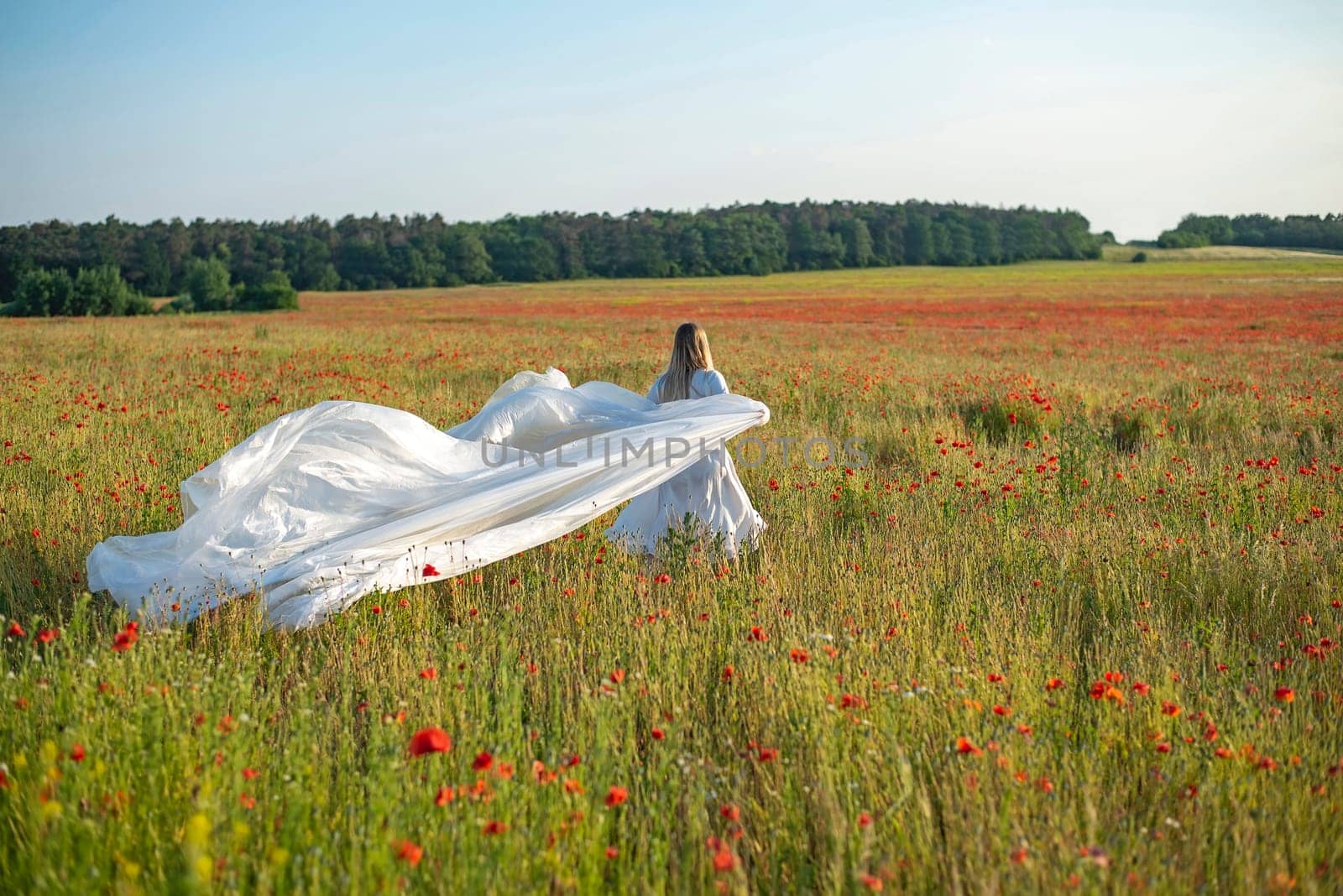 young woman with foil in poppy field, rear view