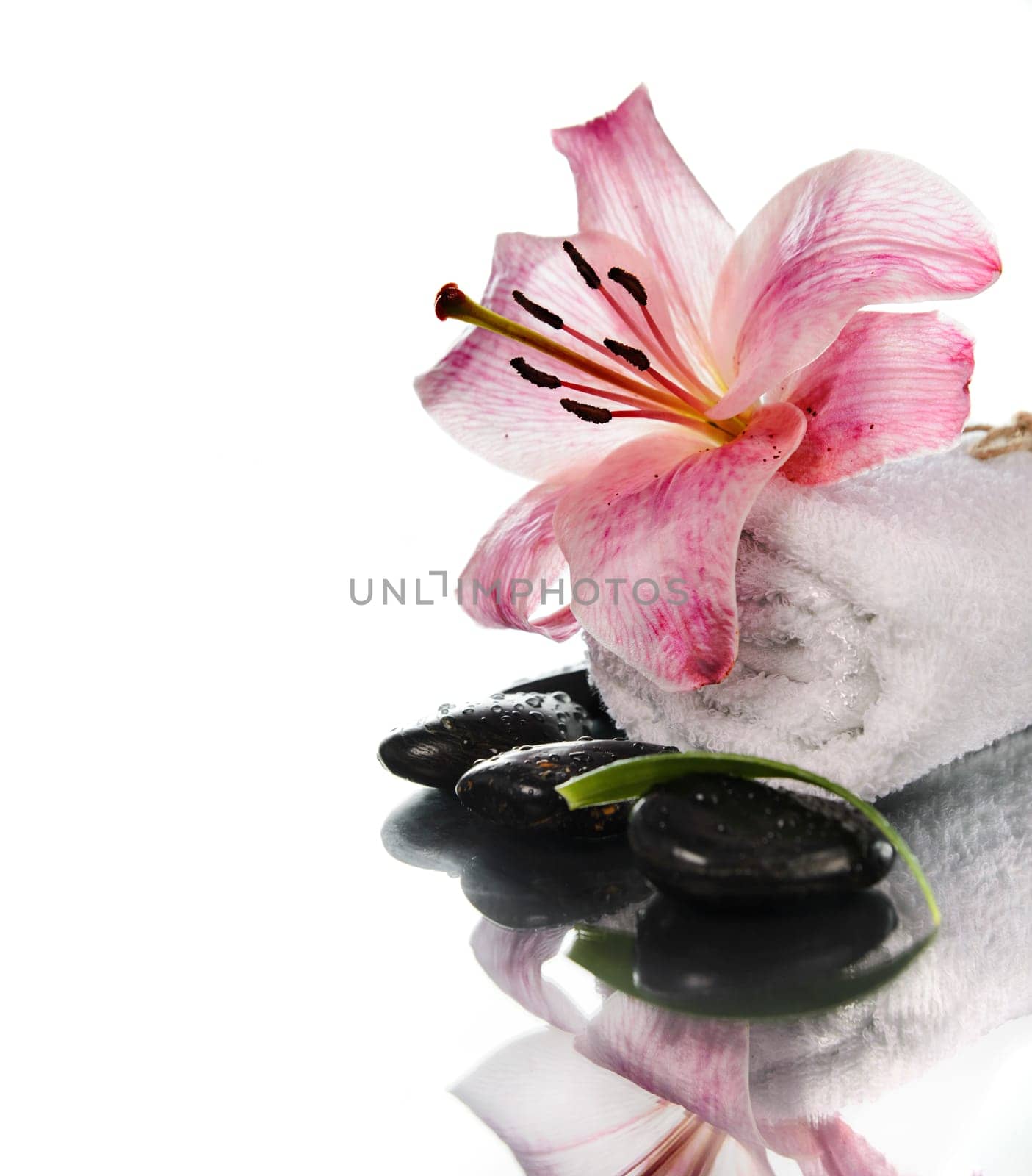 Spa concept with lily flower and zen stones over white