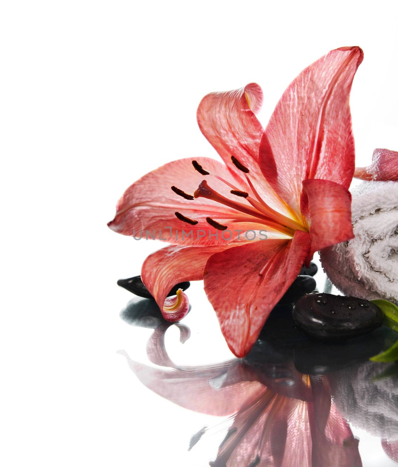 Spa concept with lily flower and zen stones over white