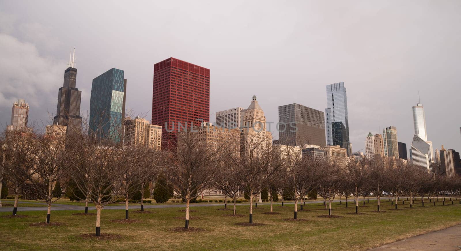 Trees planted by the city parks department will start flowering soon in Chicago