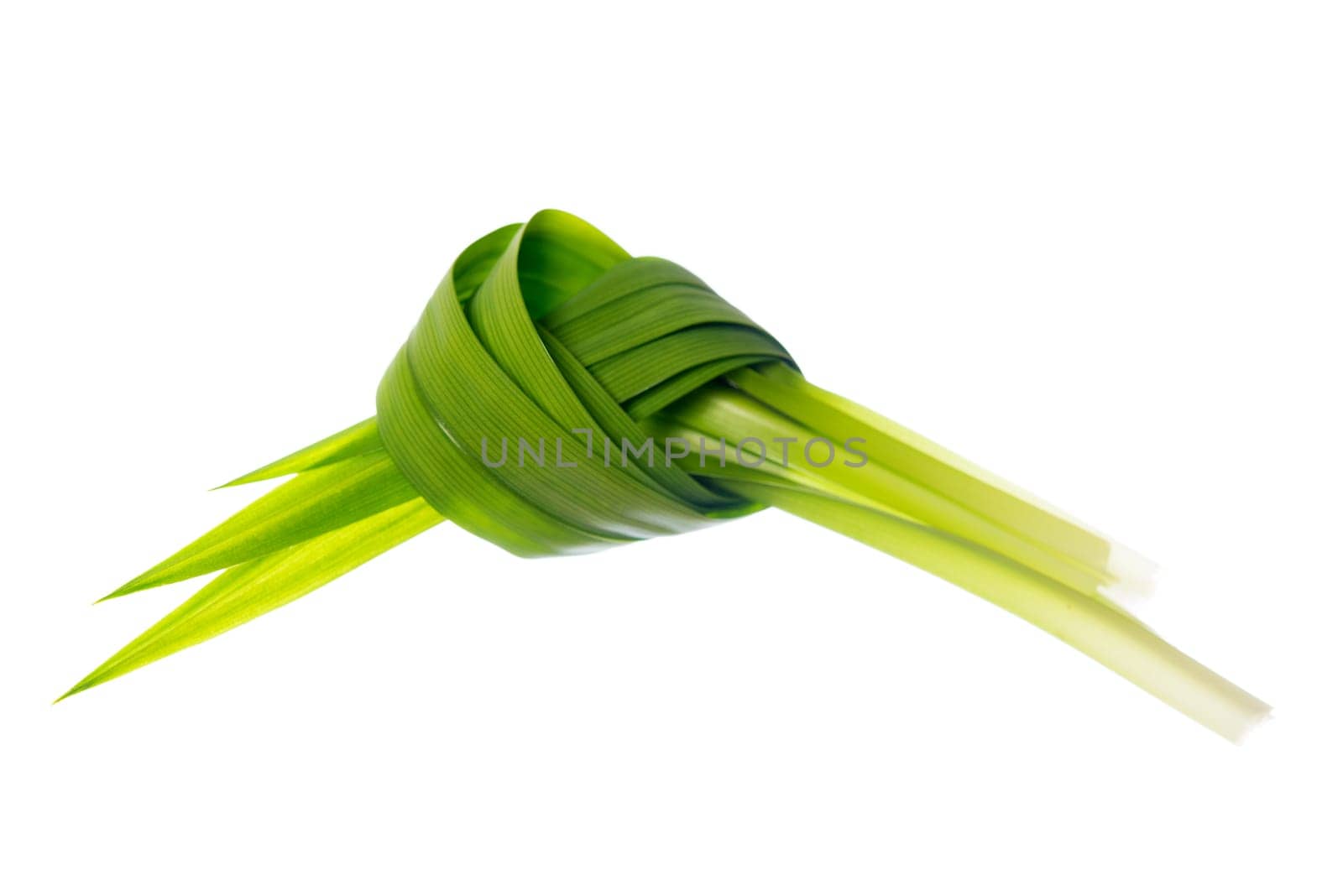 Fresh Pandan leaves isolated on white background.
