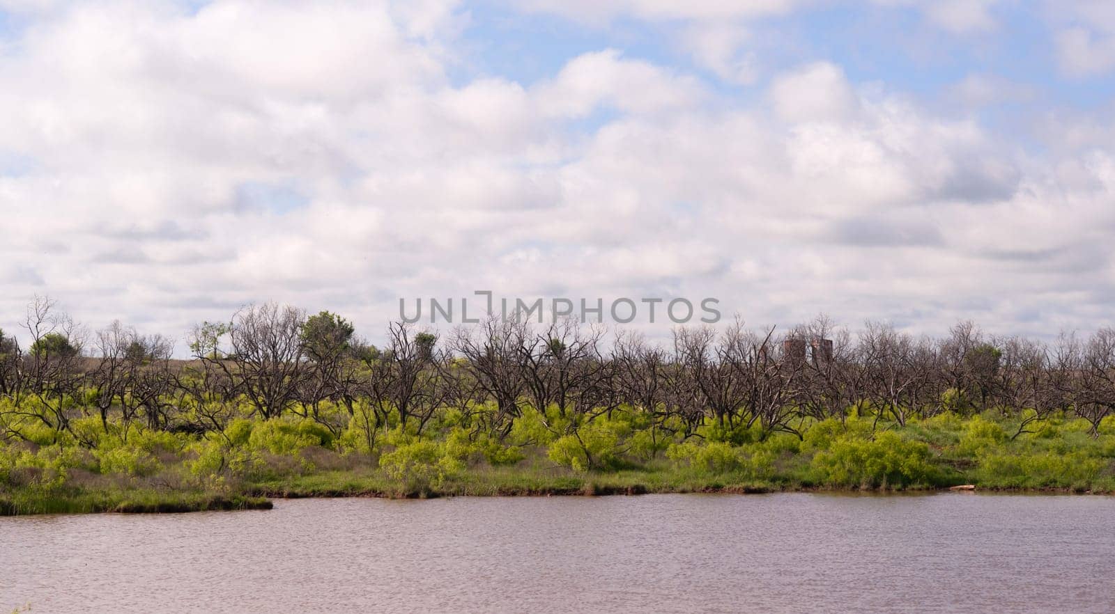 Soft puffy white clouds fill the blue sky over green vegetation and a rippled lake