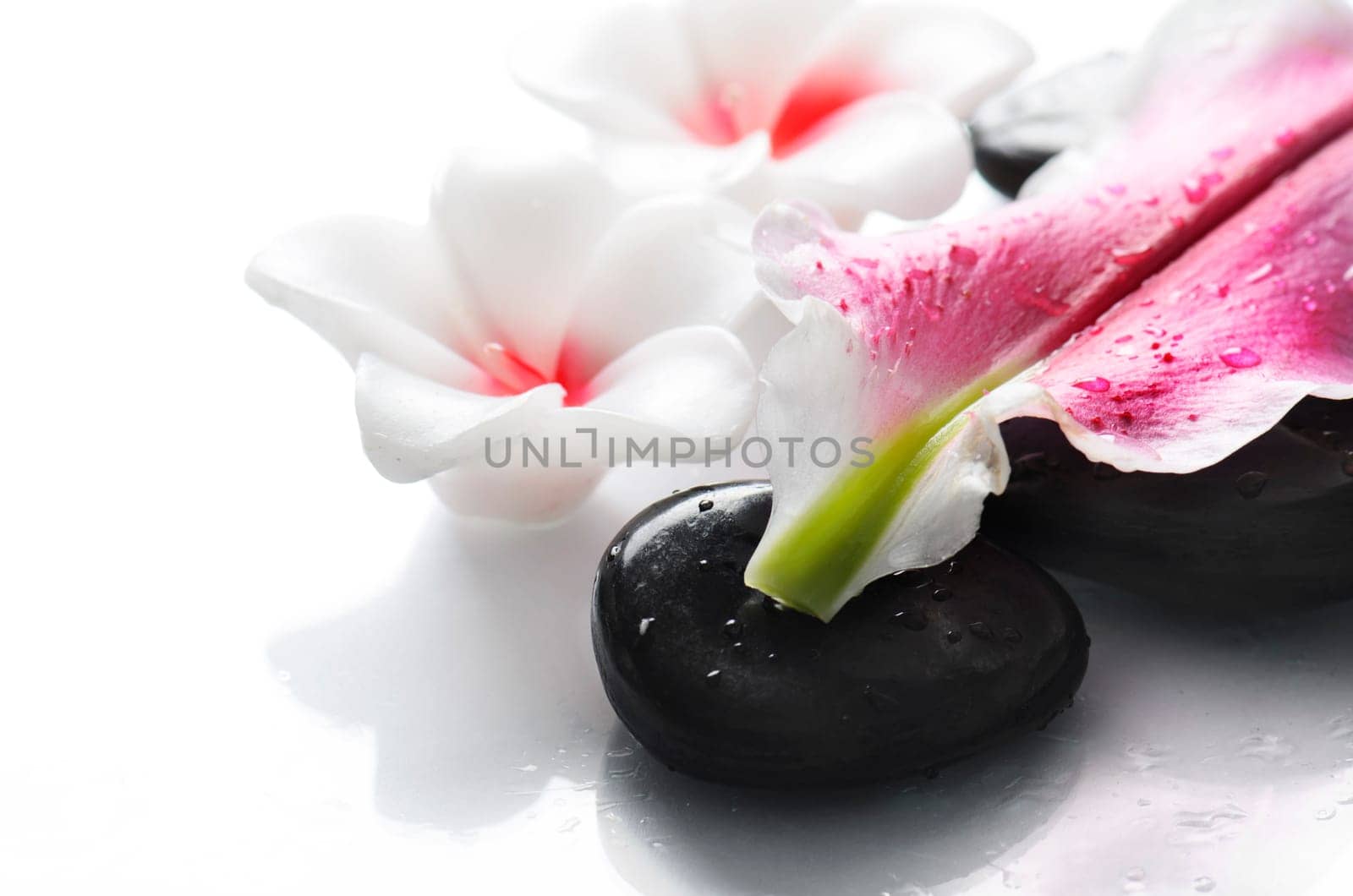 pa stones and flower petal over white background