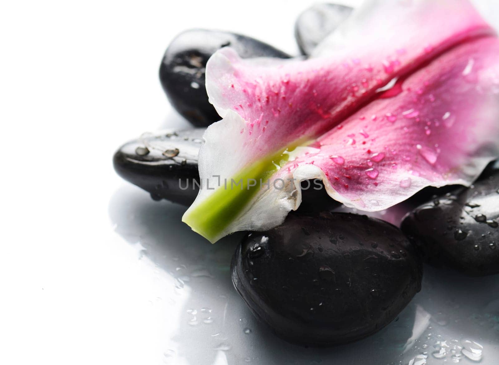 Spa stones and flower petal over white background