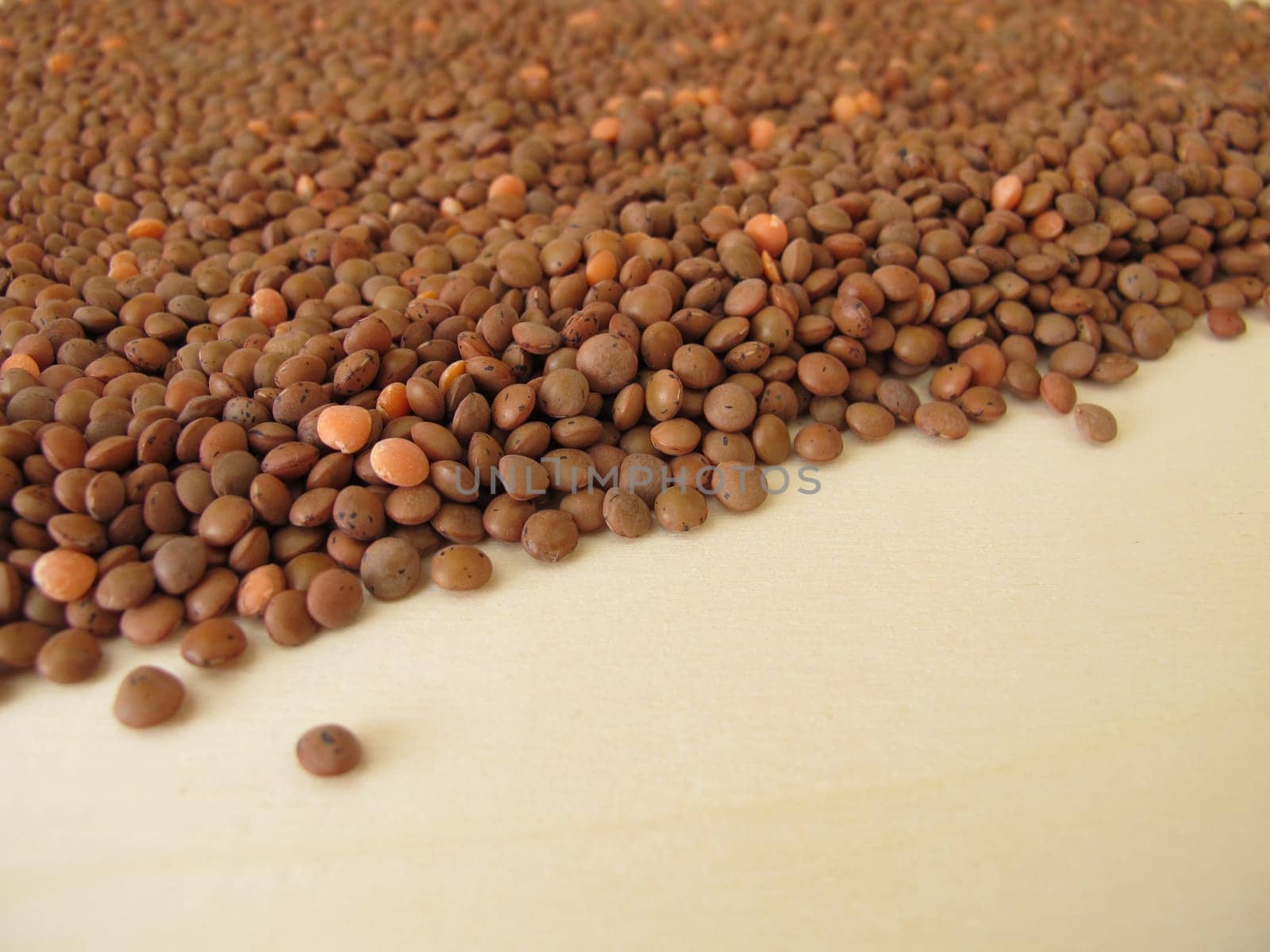 Brown mountain lentils distributed flatly on a wooden board
