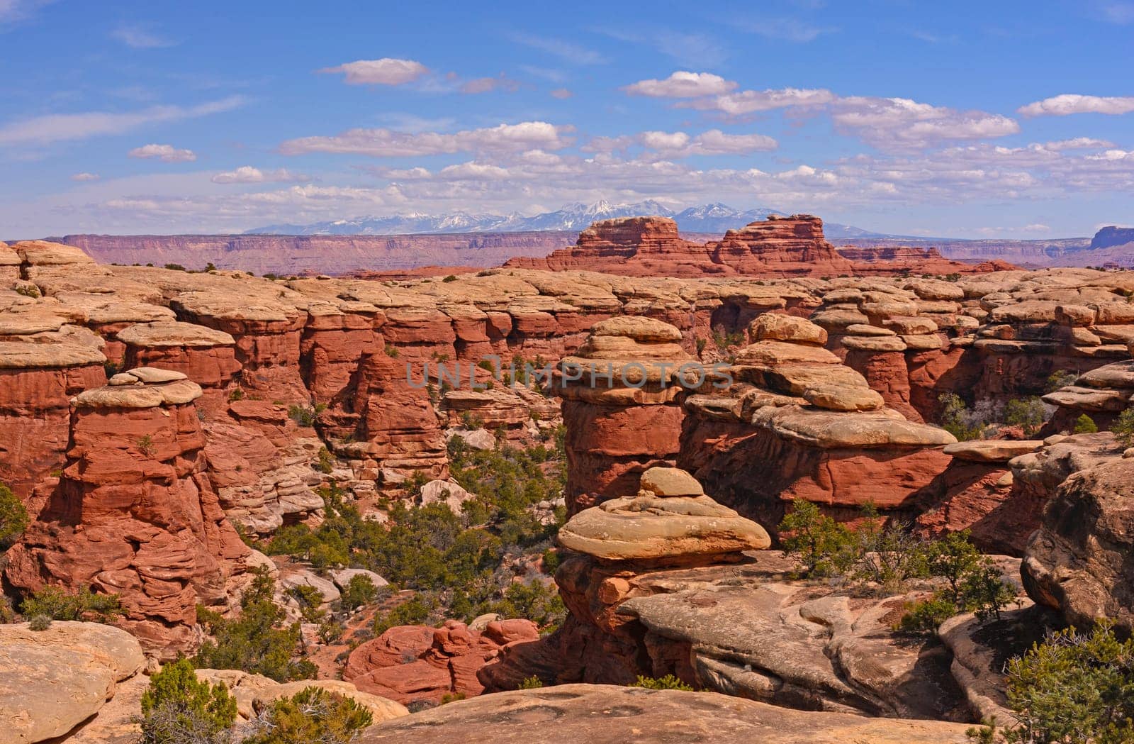 Snowy Mountains Beyond the Desert in Canyonlands National Park in Utah