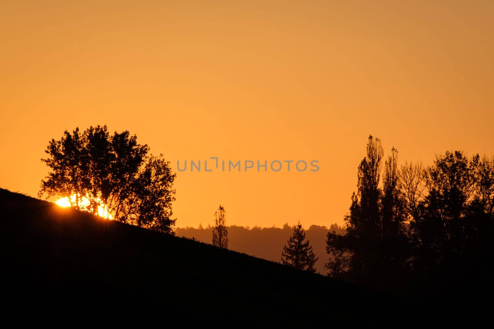 Sunrise in german landscape with trees back lit