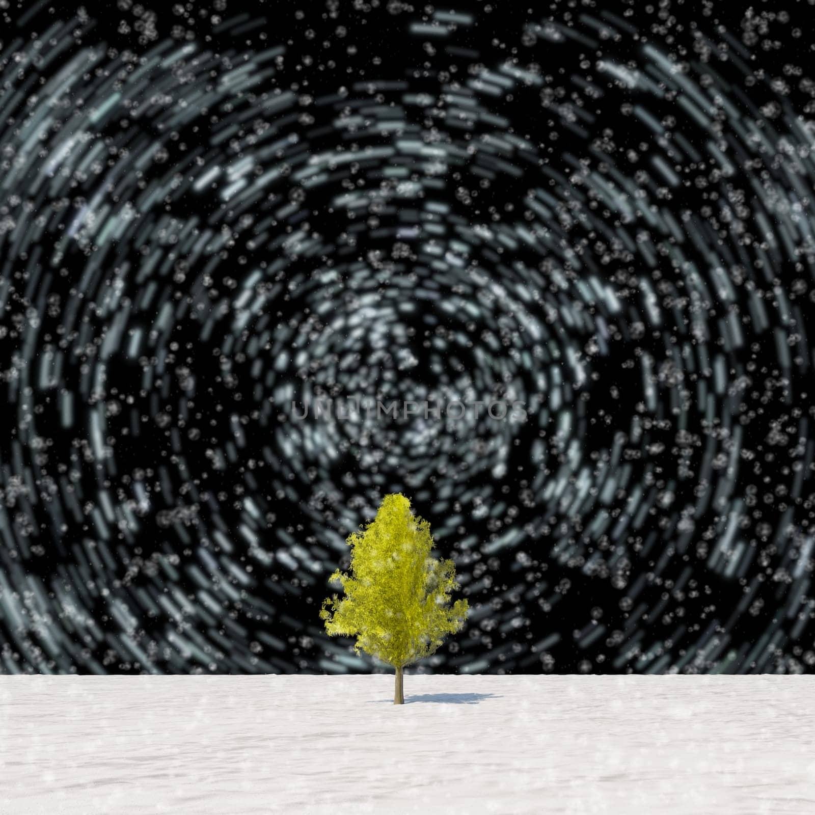 The 3d rendering tree in full leaf in winter against sky