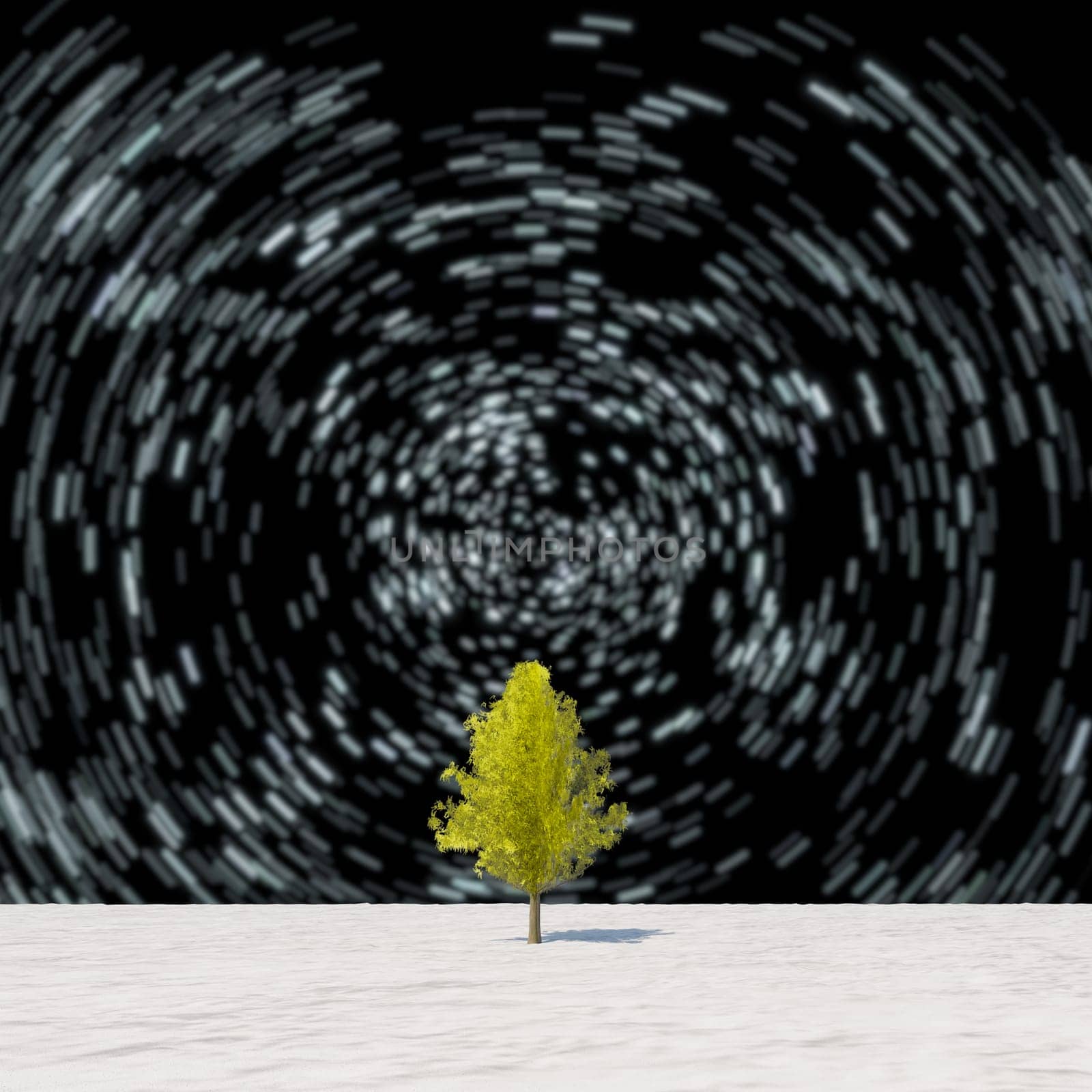The 3d rendering tree in full leaf in winter against sky