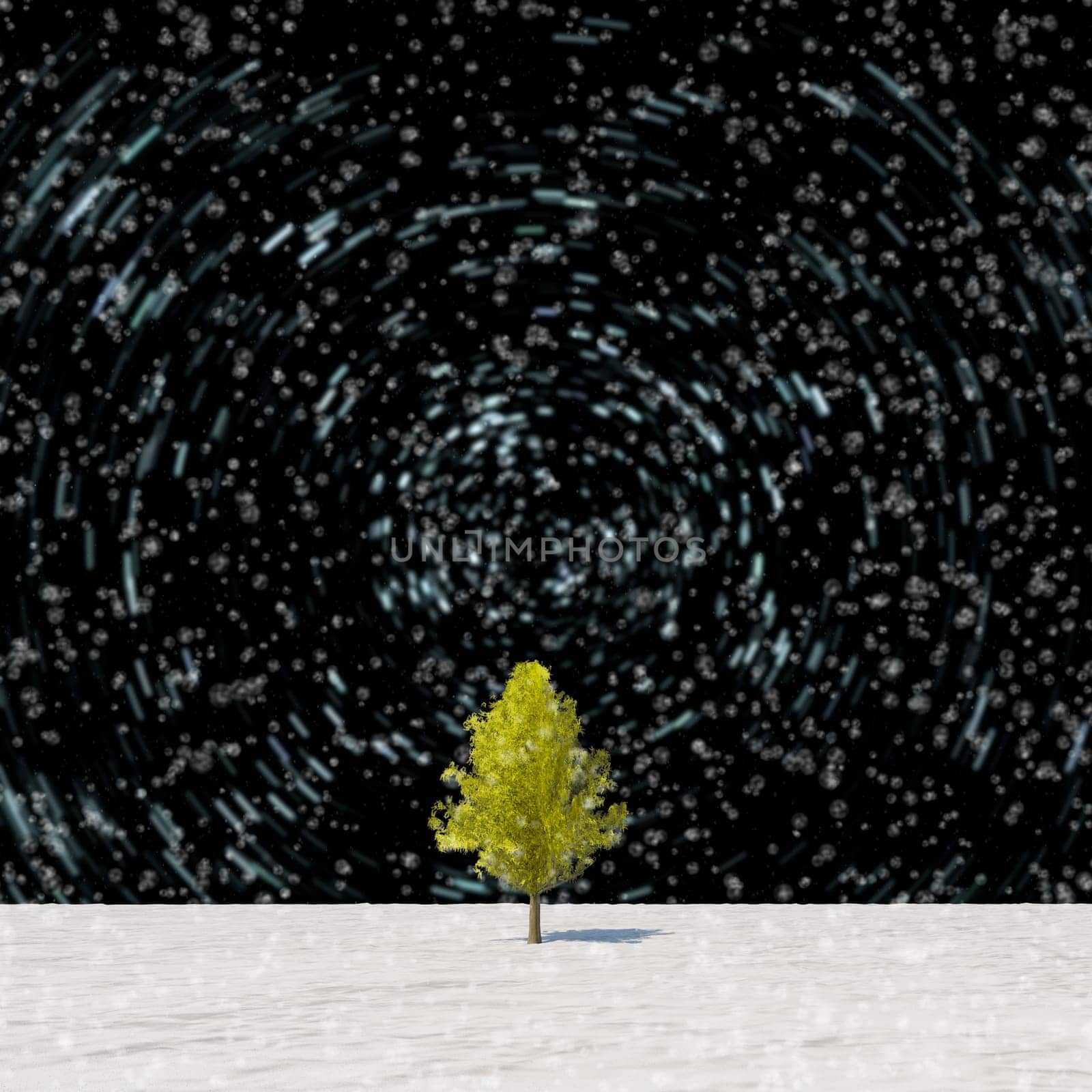 The 3d rendering tree in full leaf in winter against sky