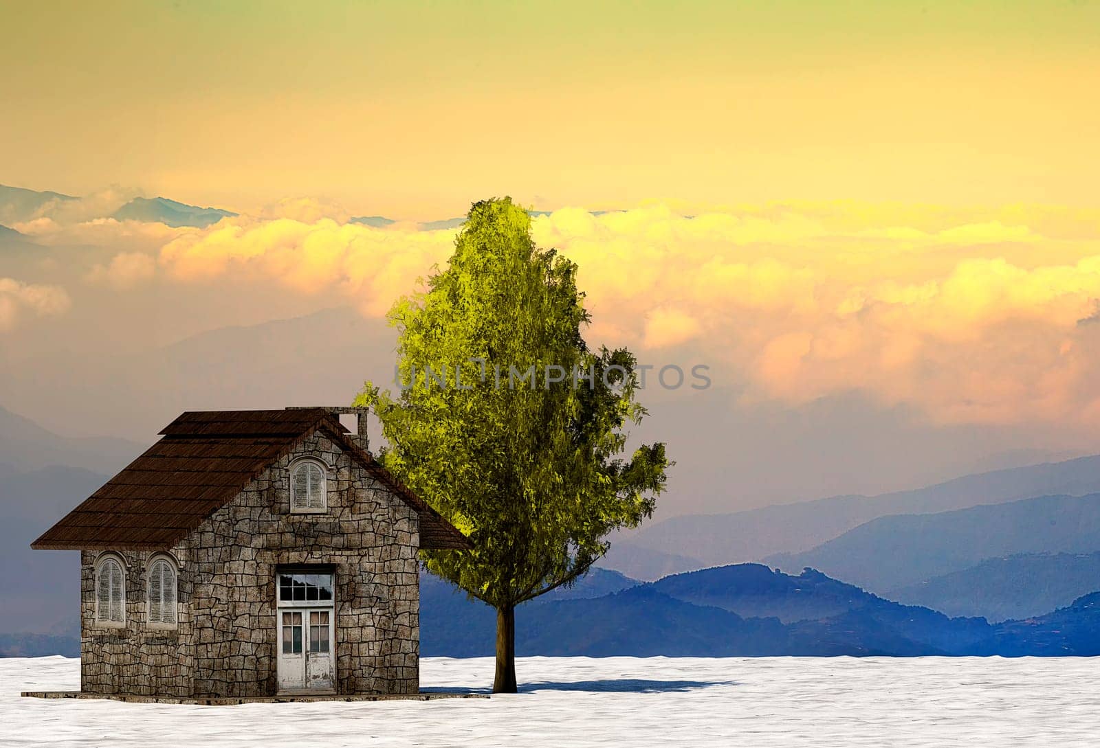 The 3d rendering tree and house in full leaf in winter against sky