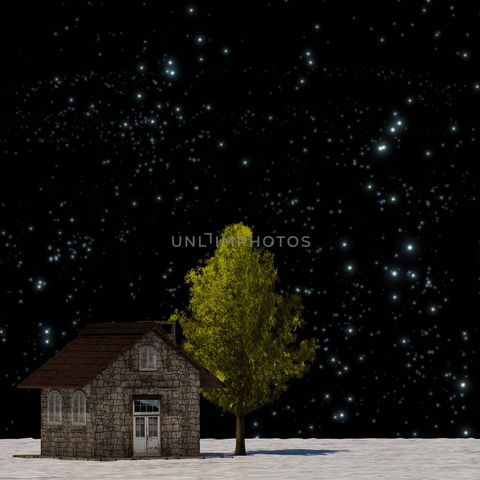 The 3d rendering tree and house in full leaf in winter against sky