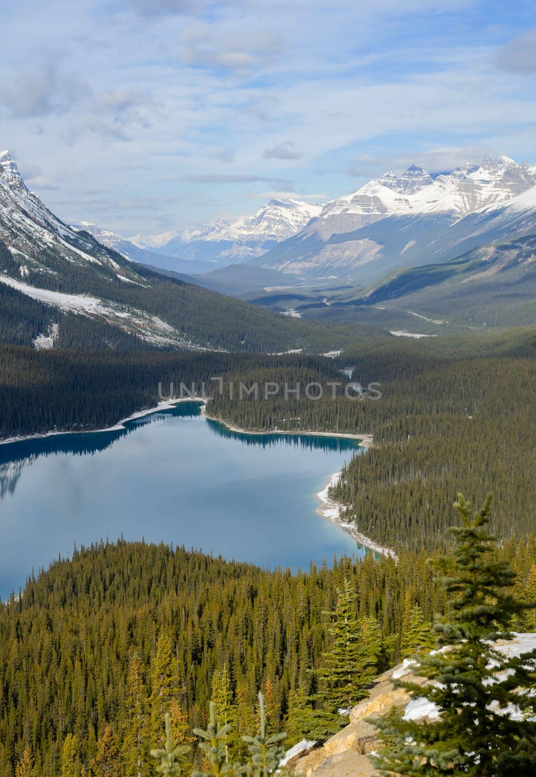 Peyto Lake in Banff National Park, Alberta Canada. Turquoise water and the shape of the lake in the form of a wolf's head