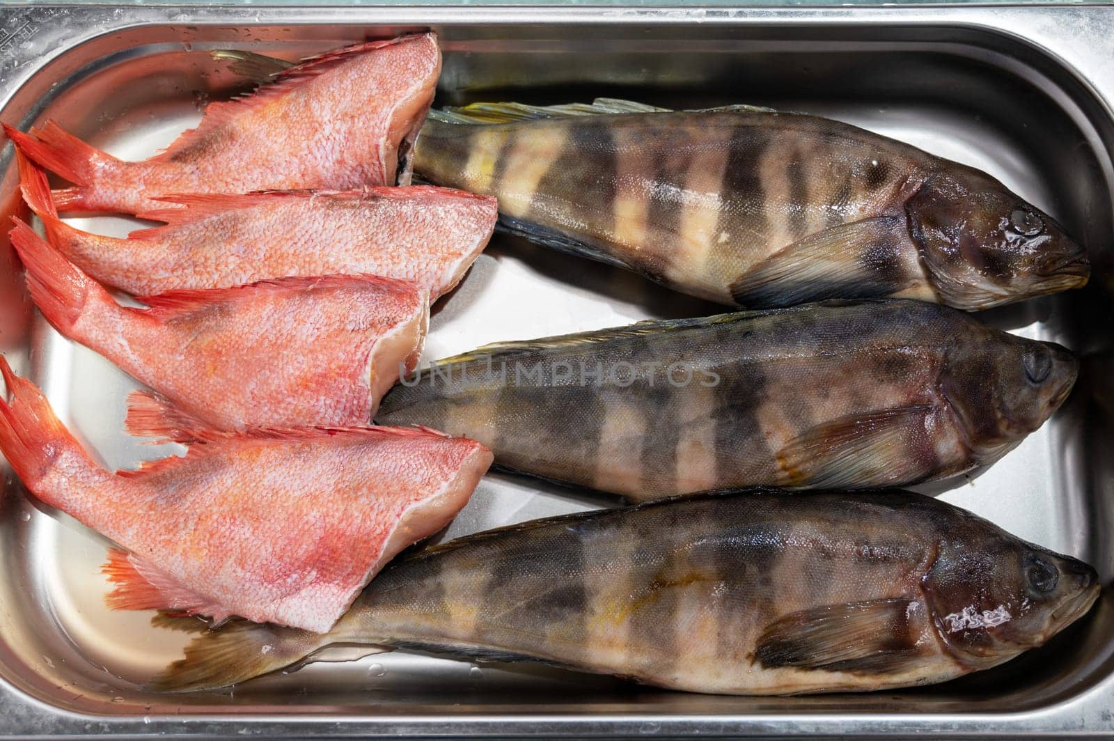 Fresh raw greenling fish and sea bass fish in the supermarket