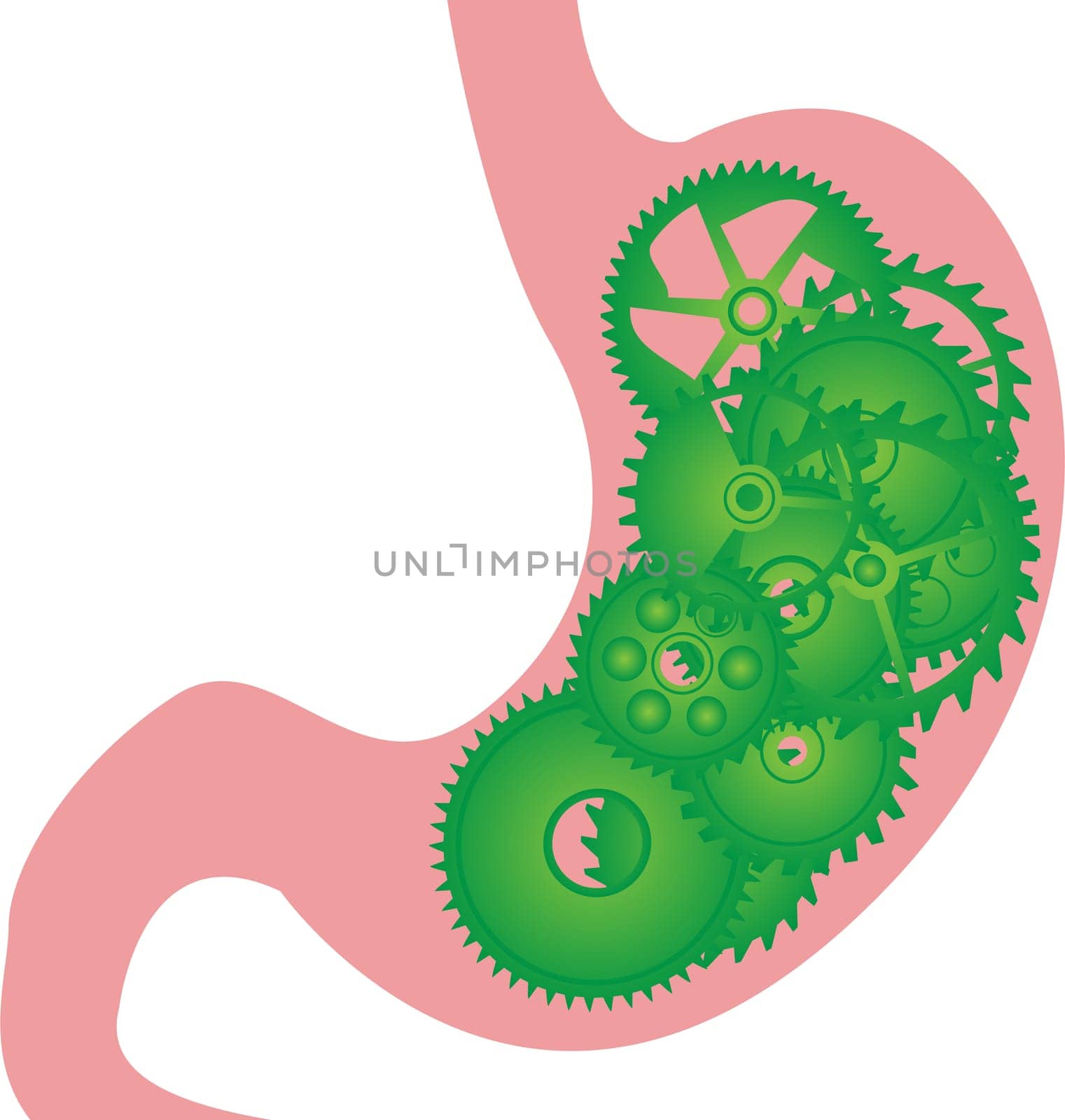 Good digestion  stomach vector illustration on a white background isolated