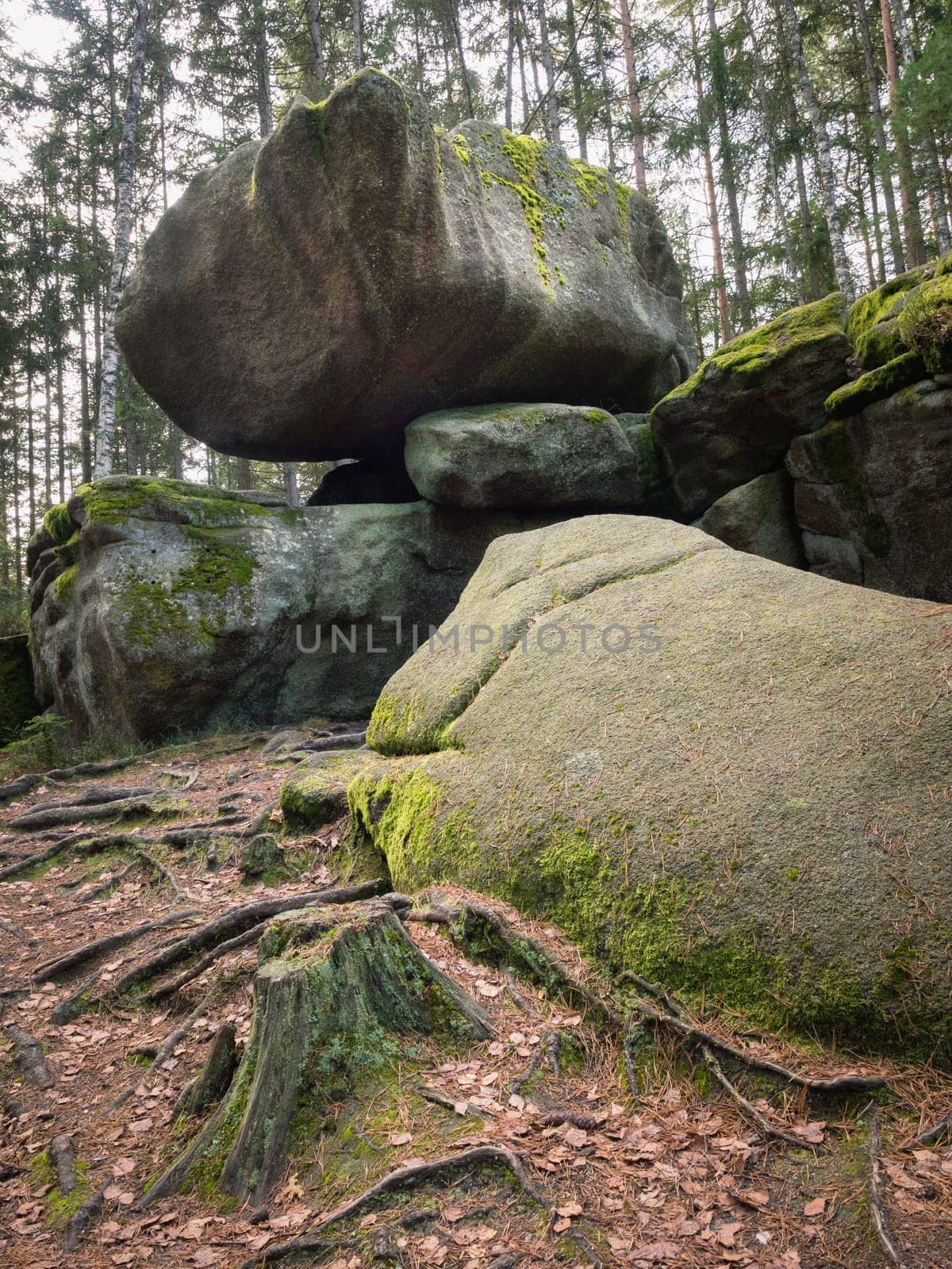 Hanging Stone at Heidenreichstein Moor, Heidenreichstein, Waldviertel, Lower Austria, Austria
