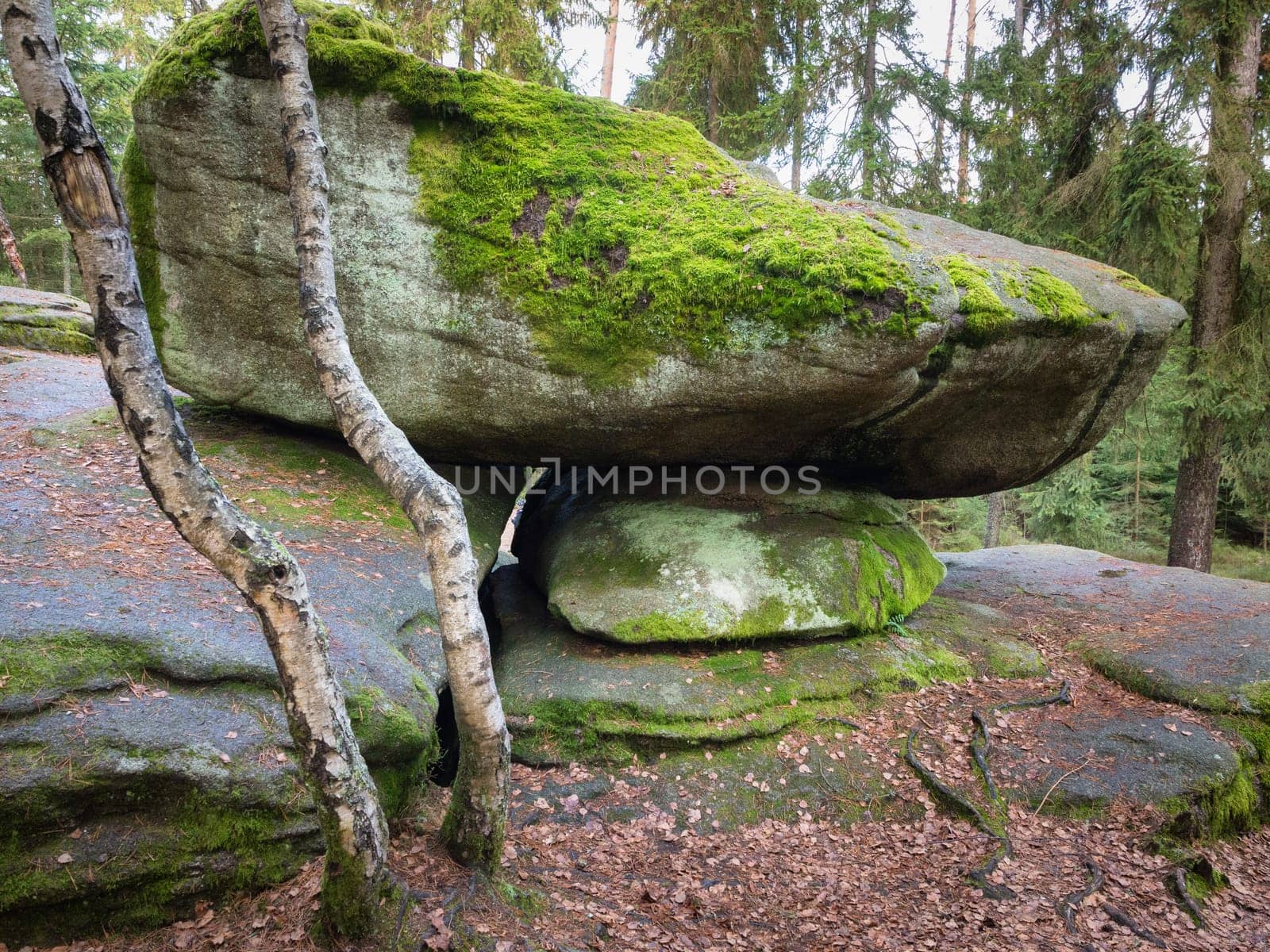 Hanging Stone at Heidenreichstein Moor, Heidenreichstein, Waldviertel, Lower Austria, Austria