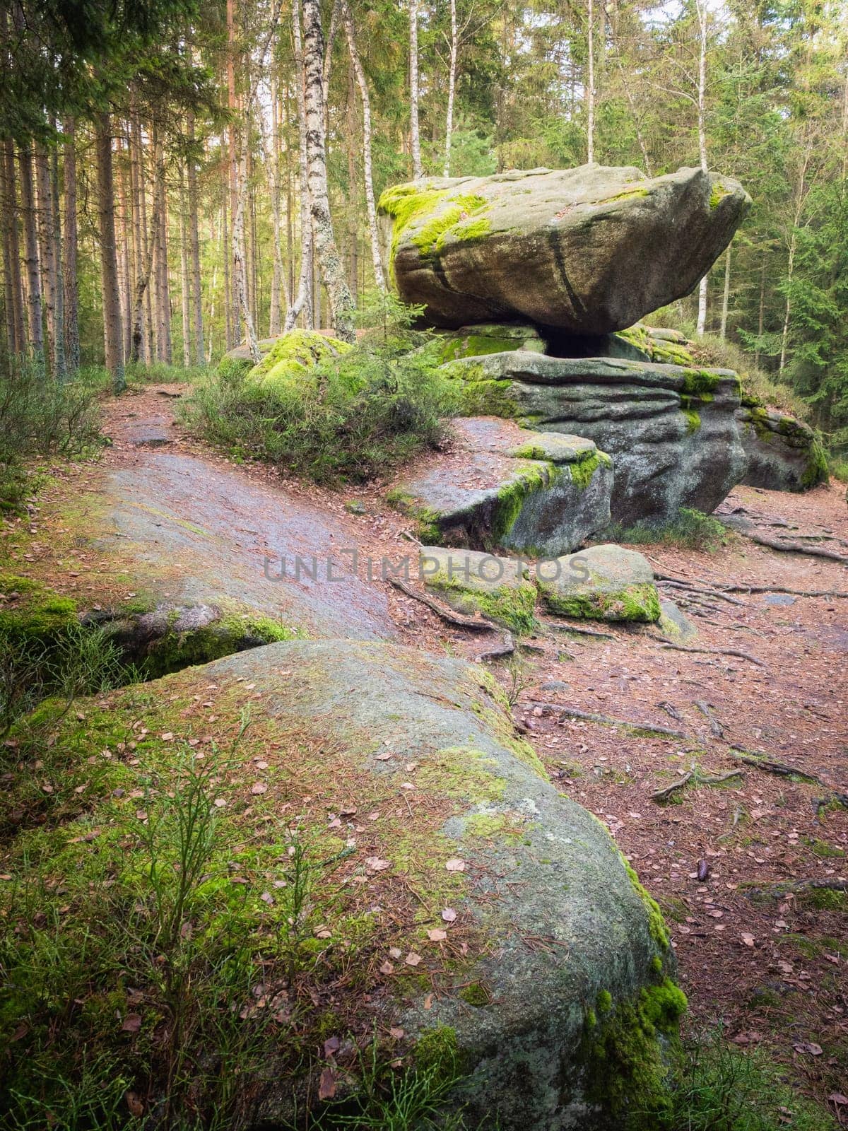 Hanging Stone at Heidenreichstein Moor, Heidenreichstein, Waldviertel, Lower Austria, Austria