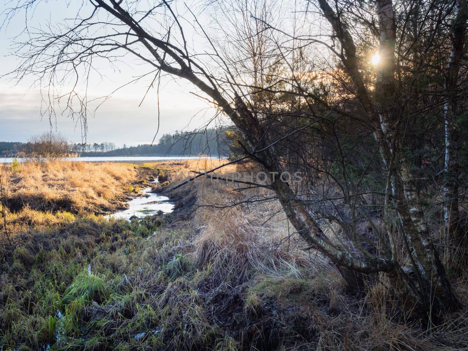 Autumn hiking and discovering the marshland of Heidenreichsteiner Moor Nature Park, Lower Austria, Austria
