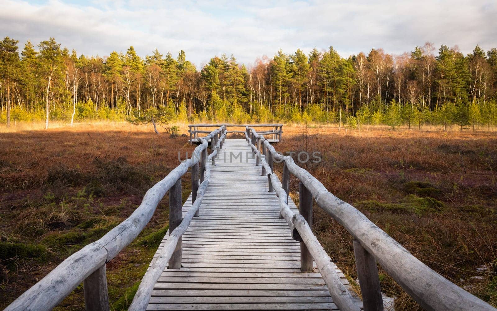 Autumn hiking and discovering the marshland of Heidenreichsteiner Moor Nature Park, Lower Austria, Austria