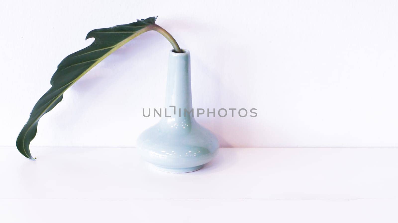 Green leaf in an simple white vase over white isolate background