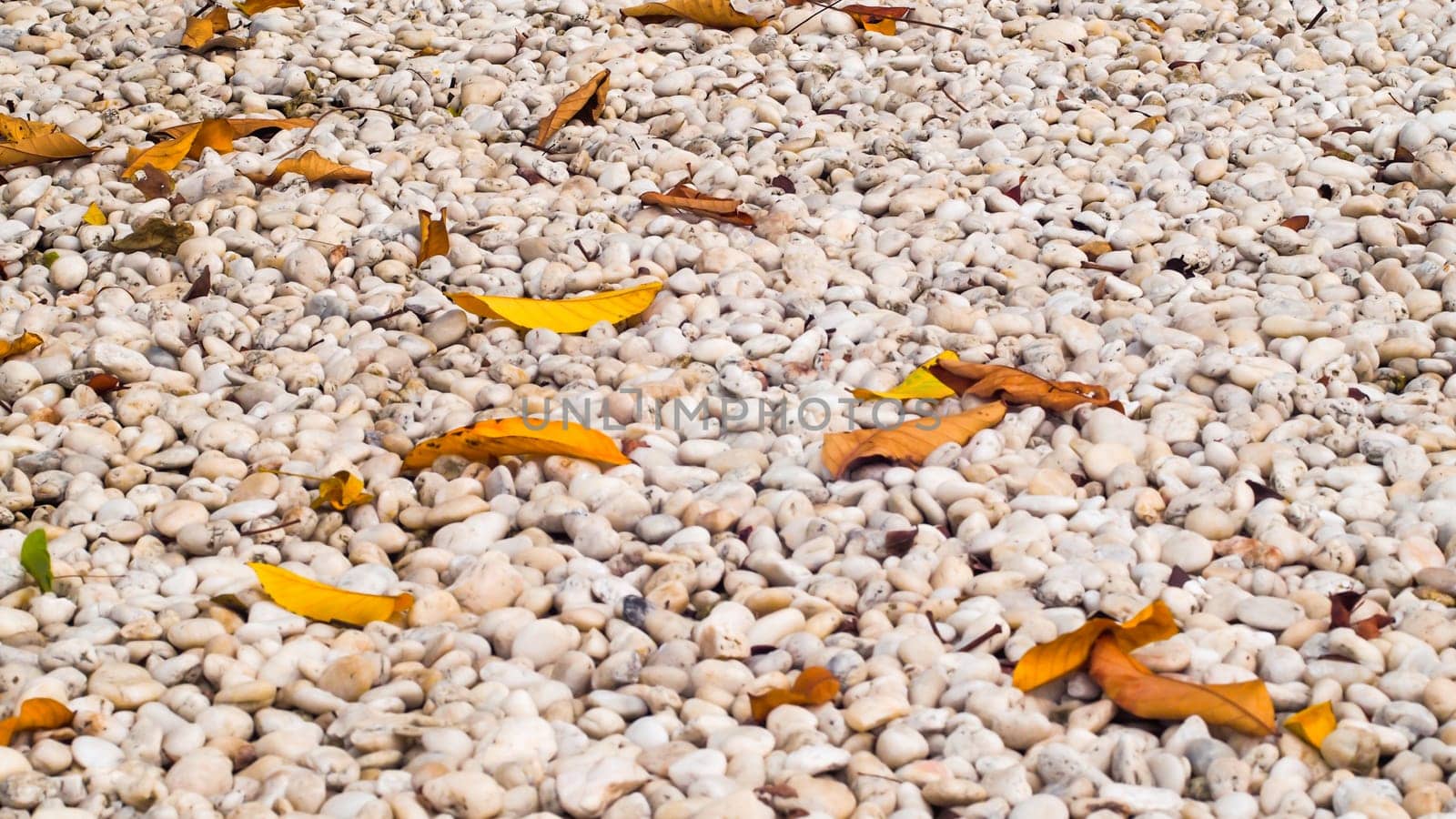 White pebbles stone texture and background, dry leaves on ground .nature Zen idea concept background