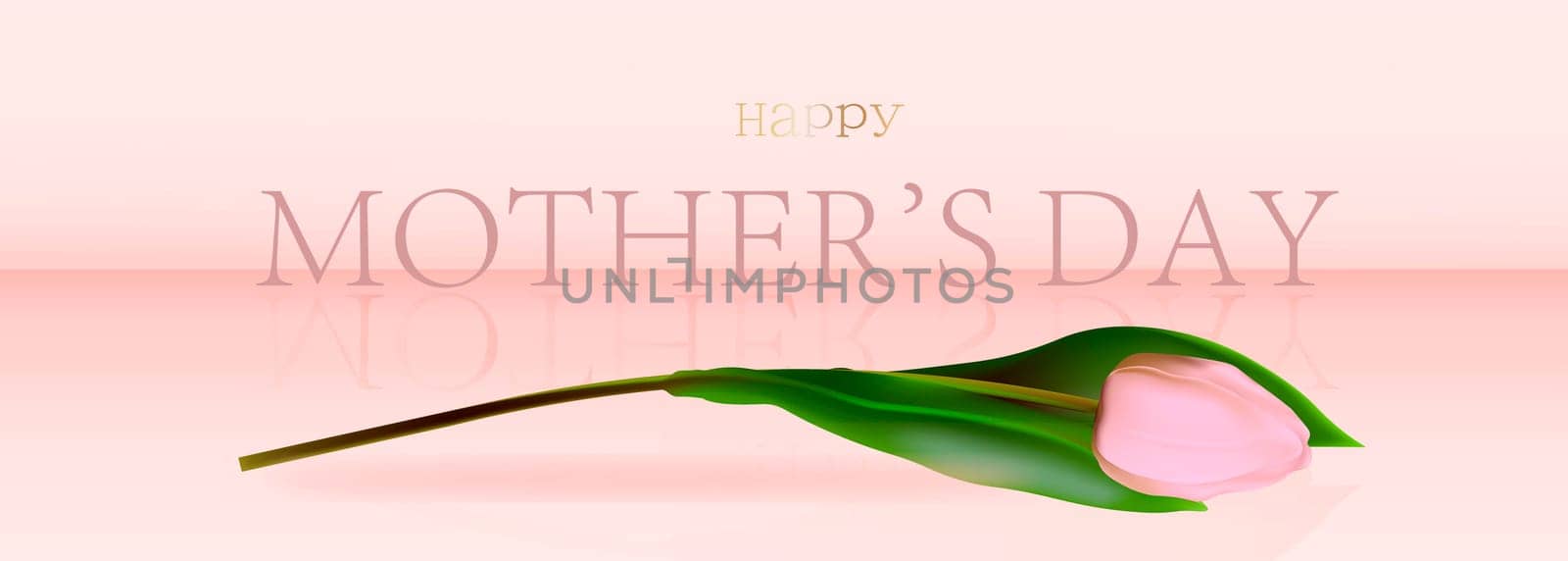 Happy mother's day elegant banner pink. Text and tulips in the background frame for Mother's Day. Best mom ever greeting cards