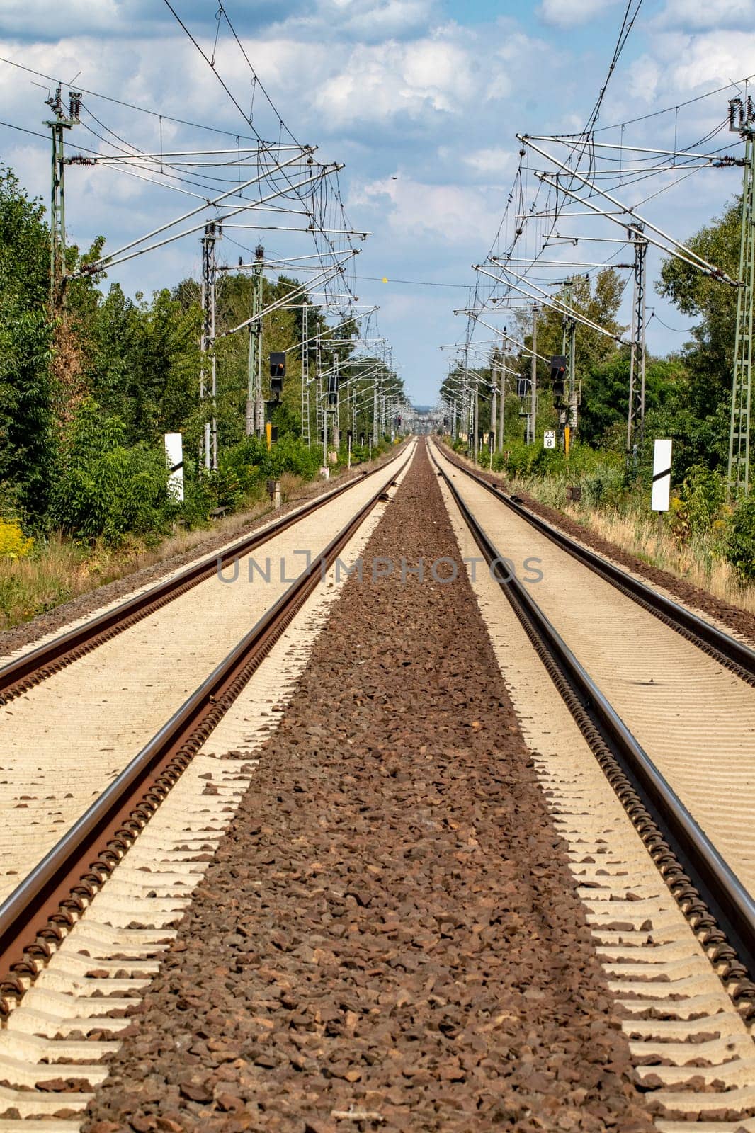 Transit Railroad tracks going through a scenic forested countryside with a blue sky and fluffy clouds above. Macro.