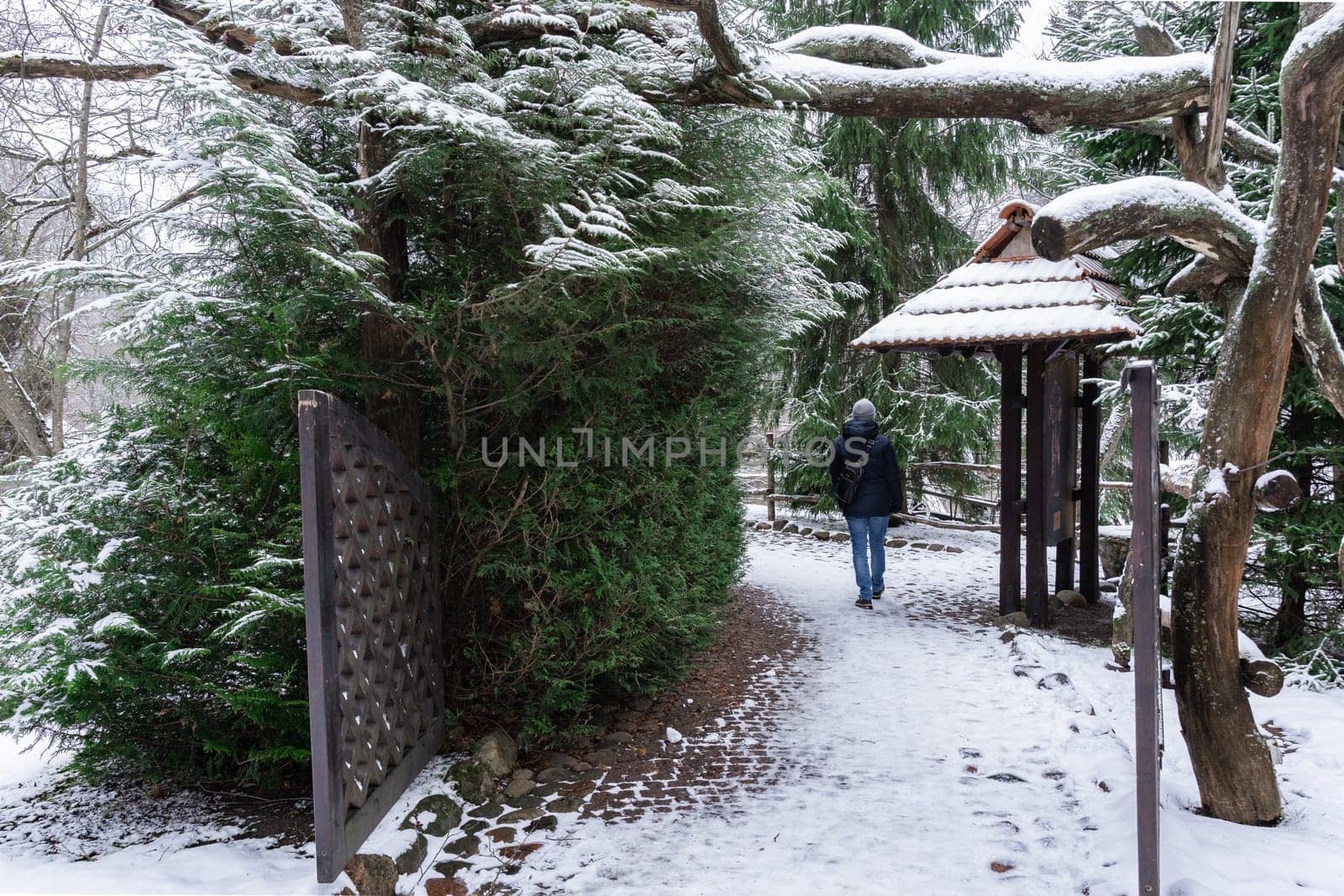 A man walks along a path in a park in winter, rear view.