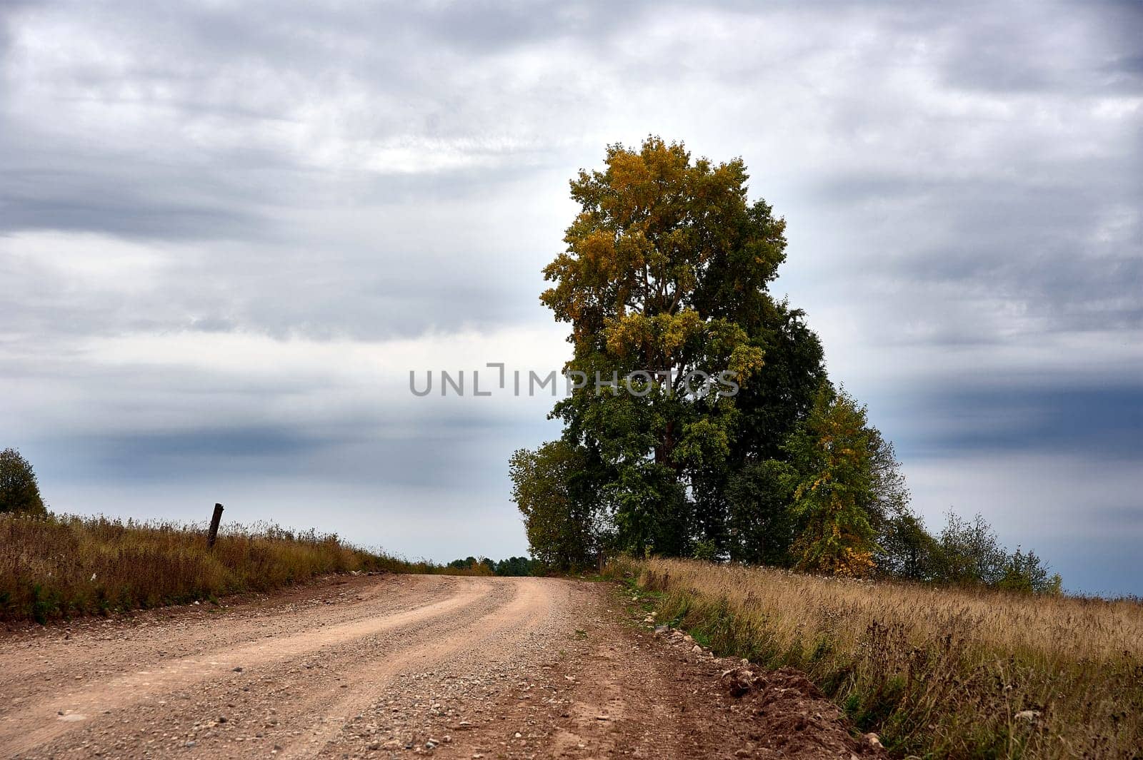 Forest dirt road in the wilderness along the river. High quality photo