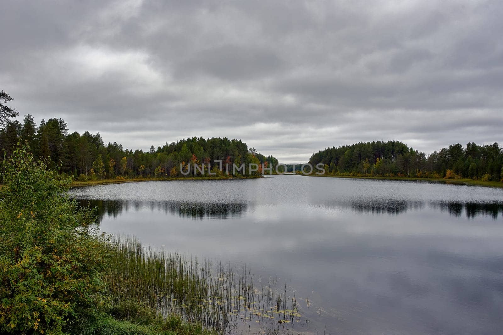 Forest river in autumn colors in the forest. High quality photo