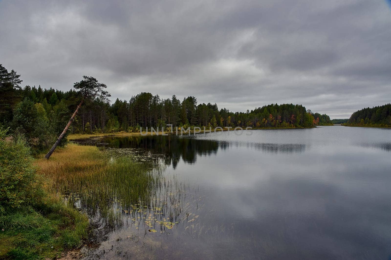 Forest river in autumn colors in the forest. High quality photo
