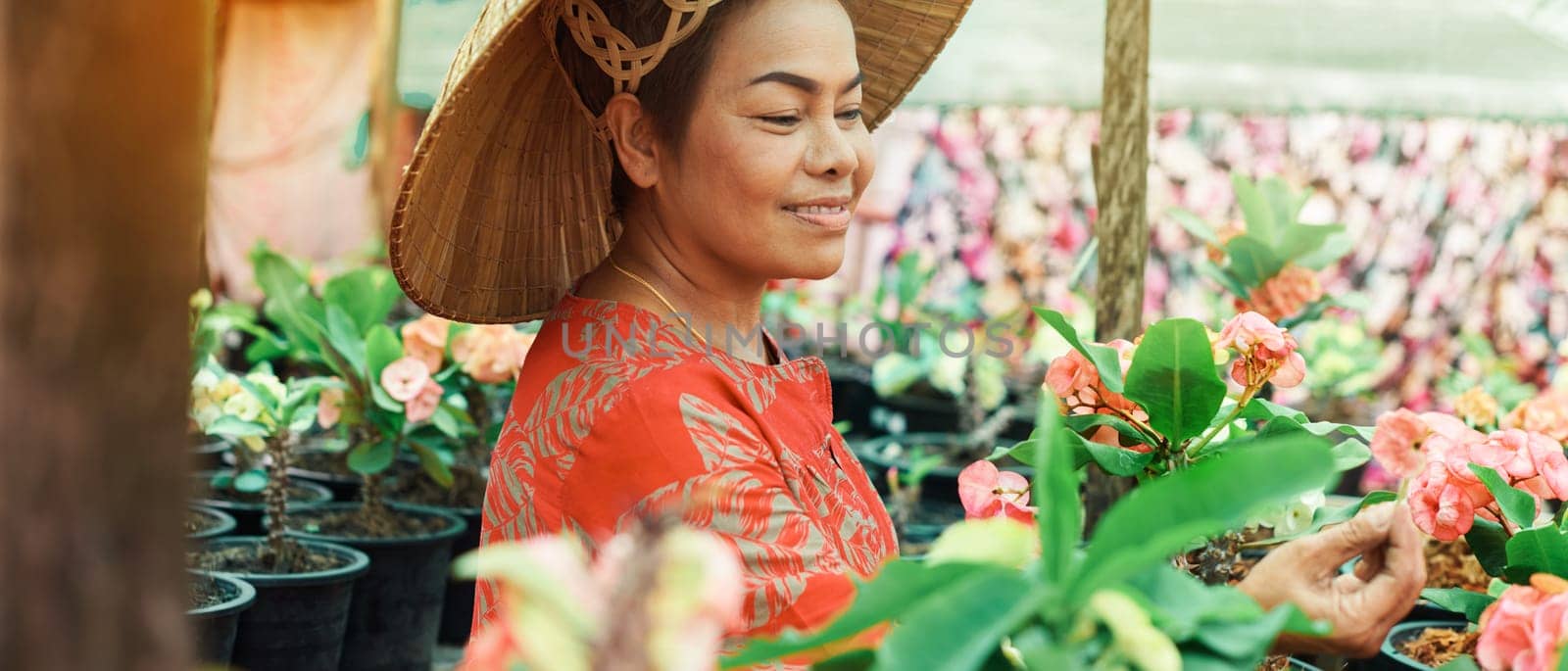 Asian woman with Vietnamese straw hat is smiling and holding potted flower in the garden. Small business concept. Colorful potted flowers Euforbia Spurges bring lucky energy at your home.