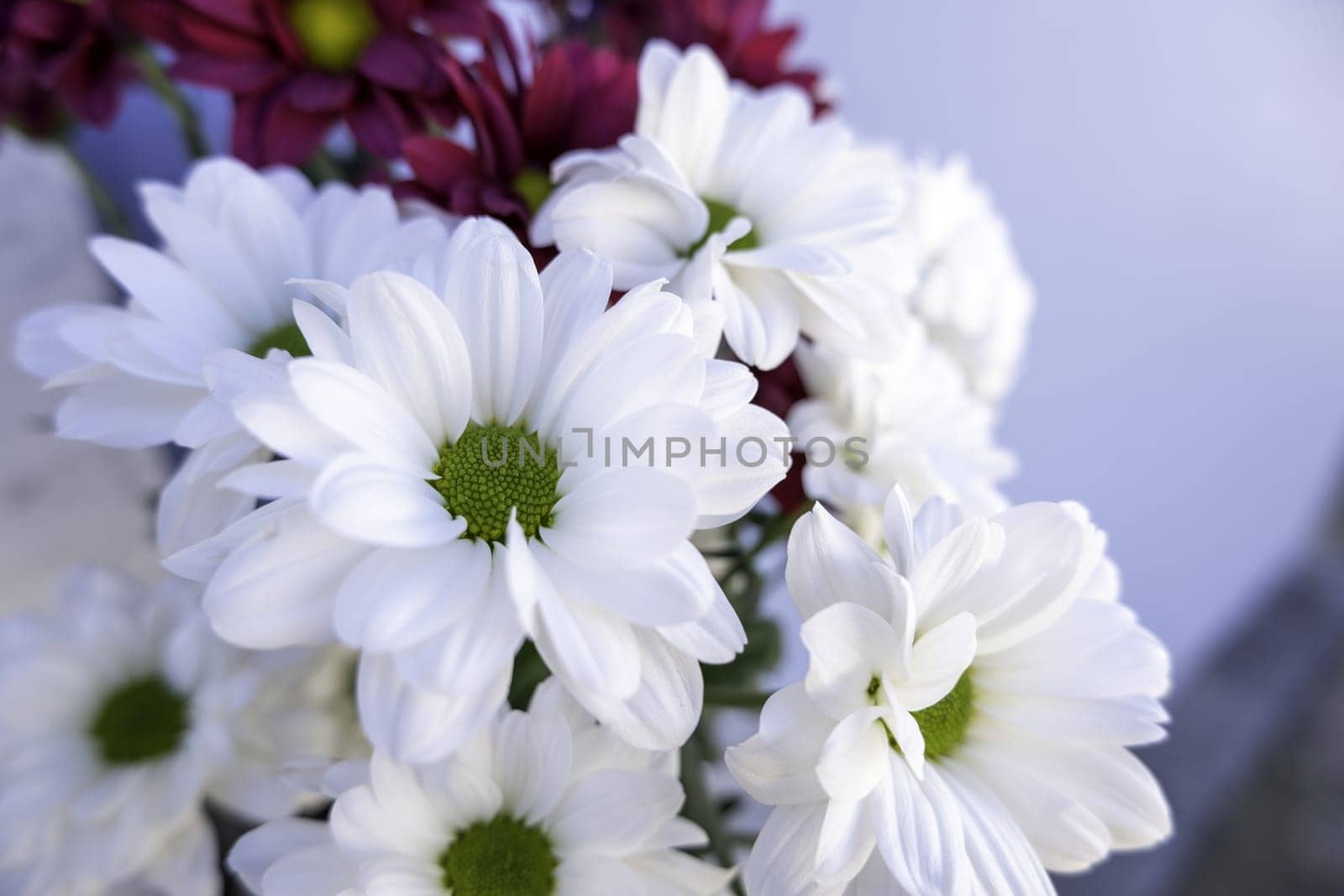 Detail of flowers to remember the dead