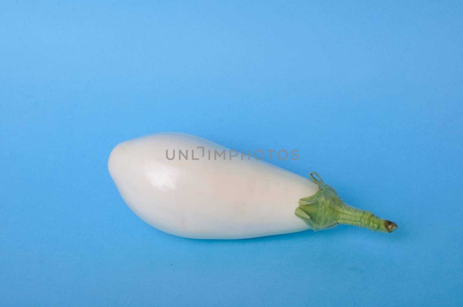 White eggplant on a blue background
