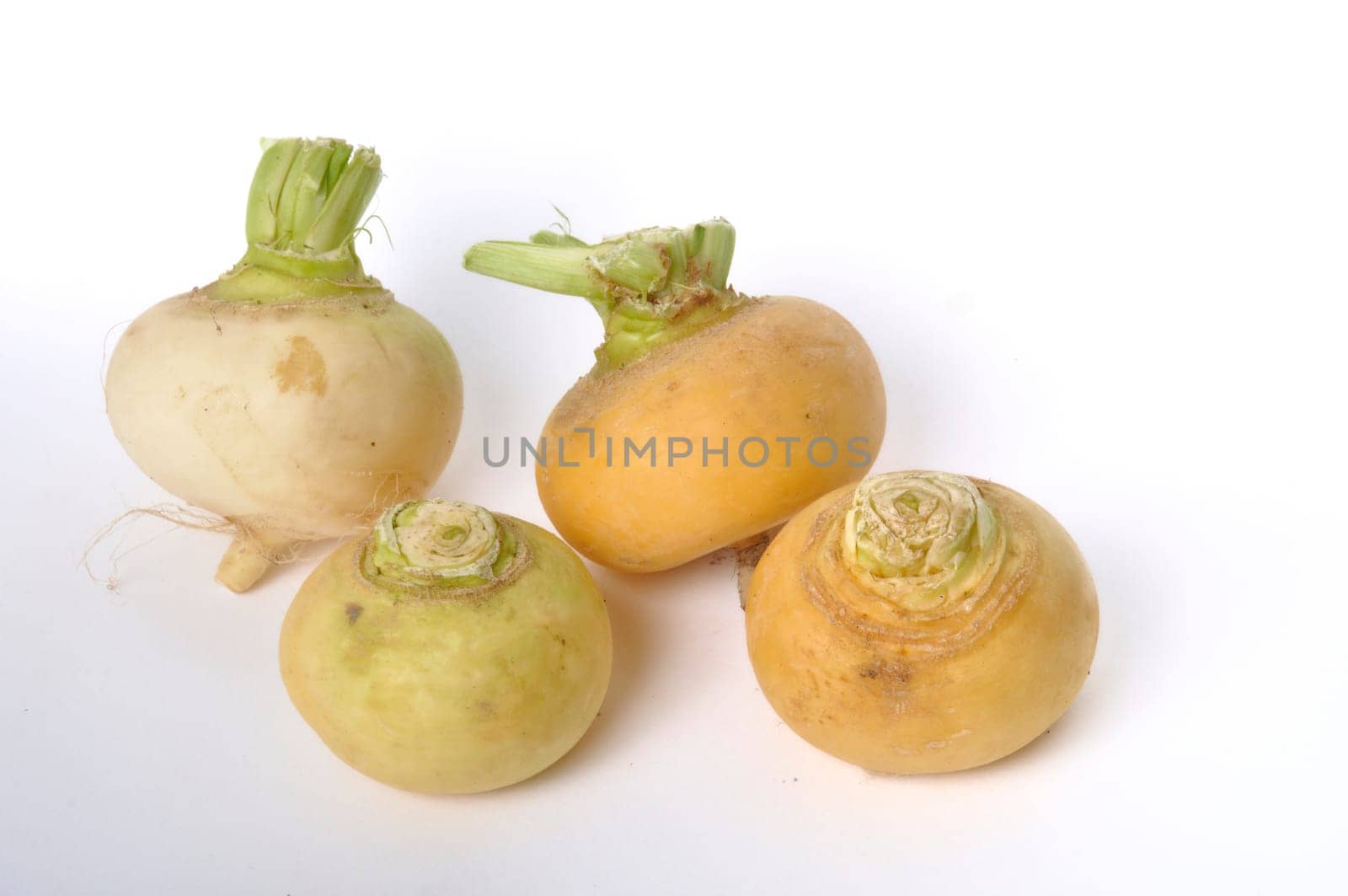 Young turnips on a white background