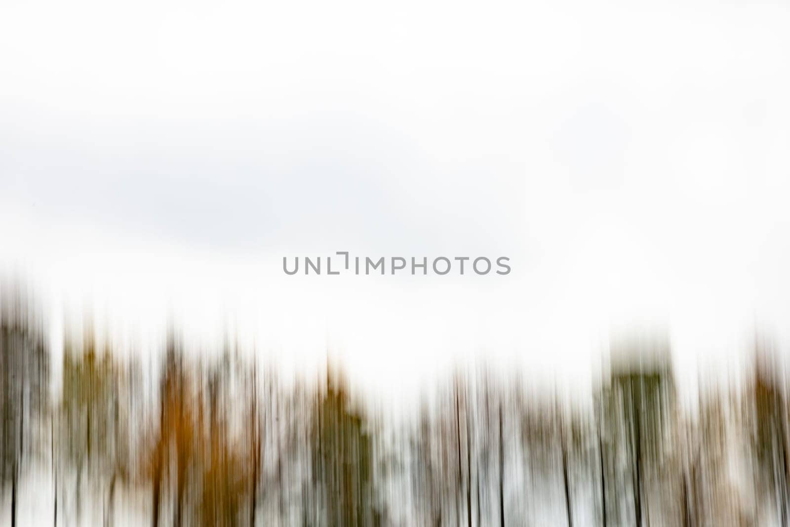 Motion blurred foliage and trees in autumn