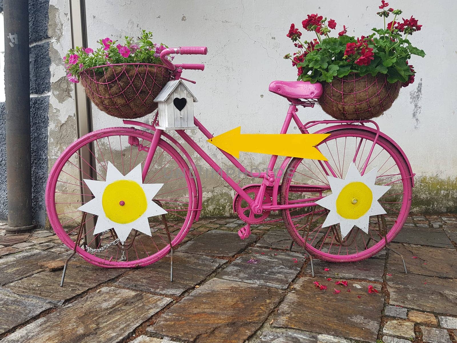 A beautiful decorative old bicycle with flowers in pots
