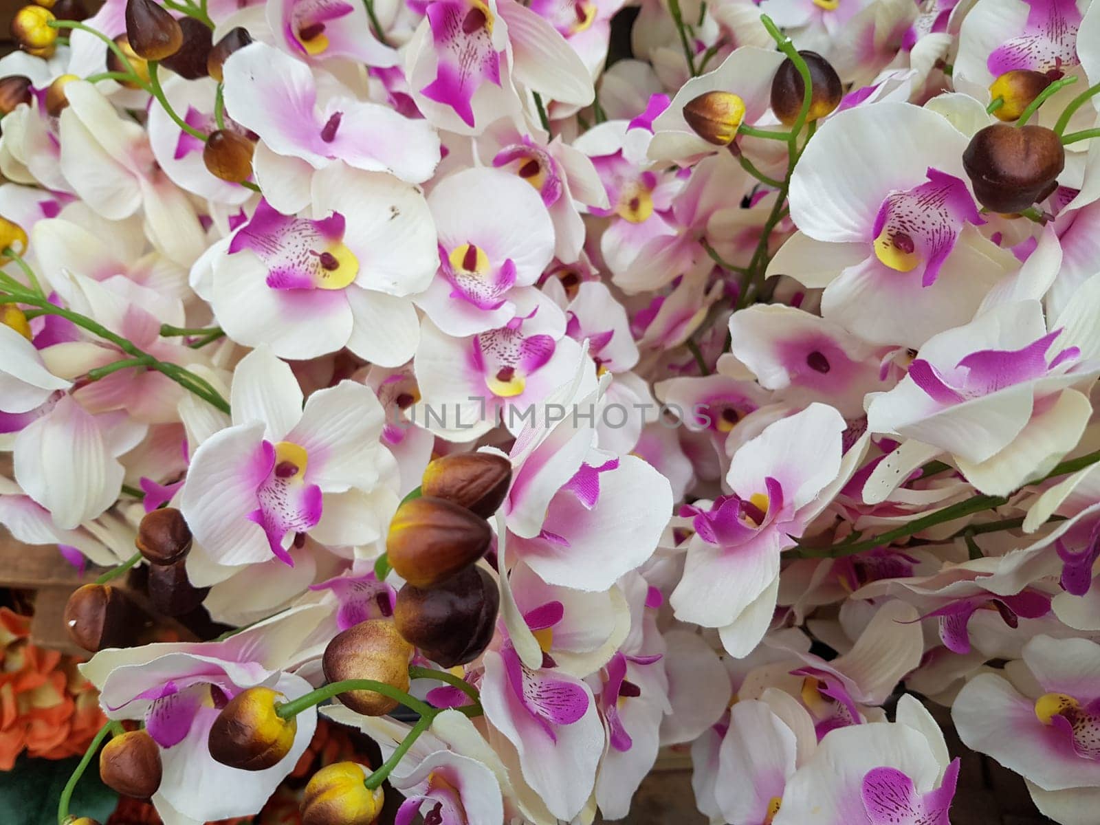 Beautiful flowers background. Abstract background of flowers