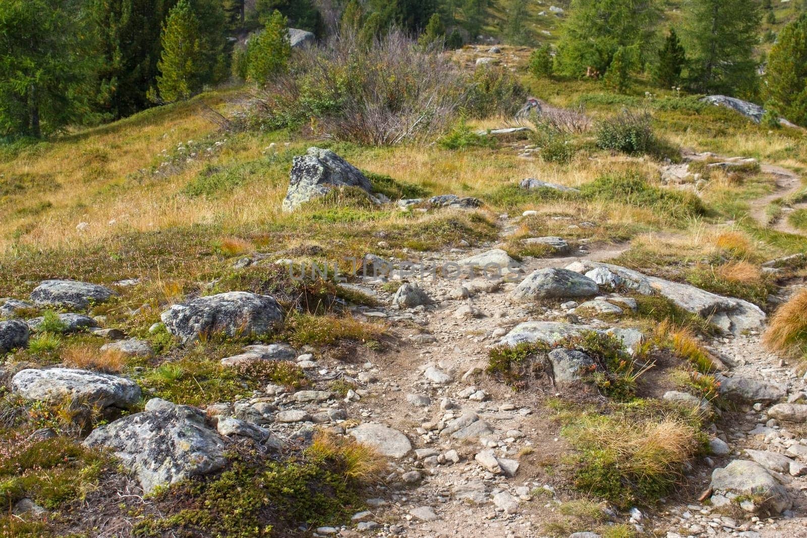 Landscape in Austian Alps -  Steiermark, Austria