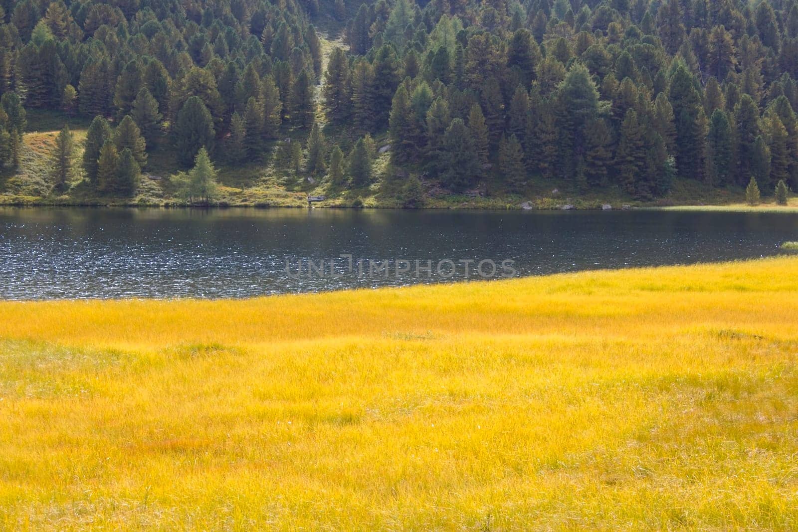 Landscape in Austian Alps, Upper Austria, Austria
