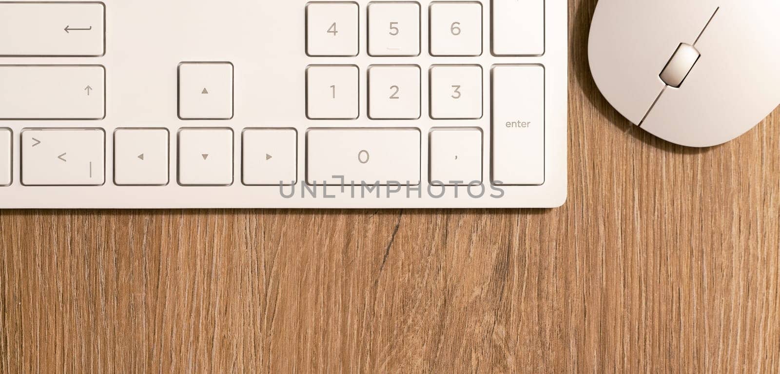 Keyboard from a computer and a computer mouse on a desk in the office