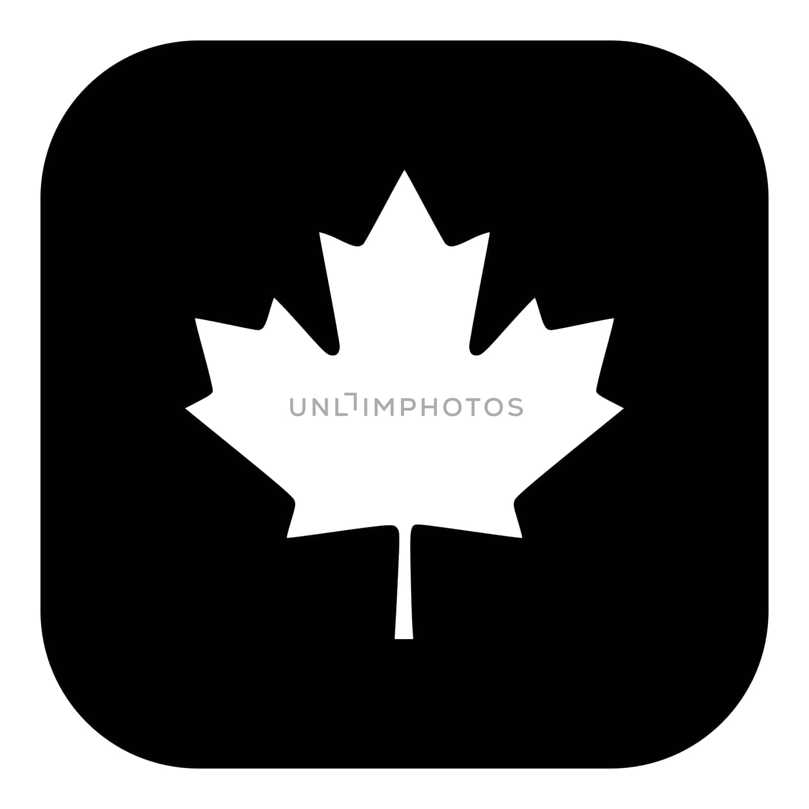 Maple leaf and app icon