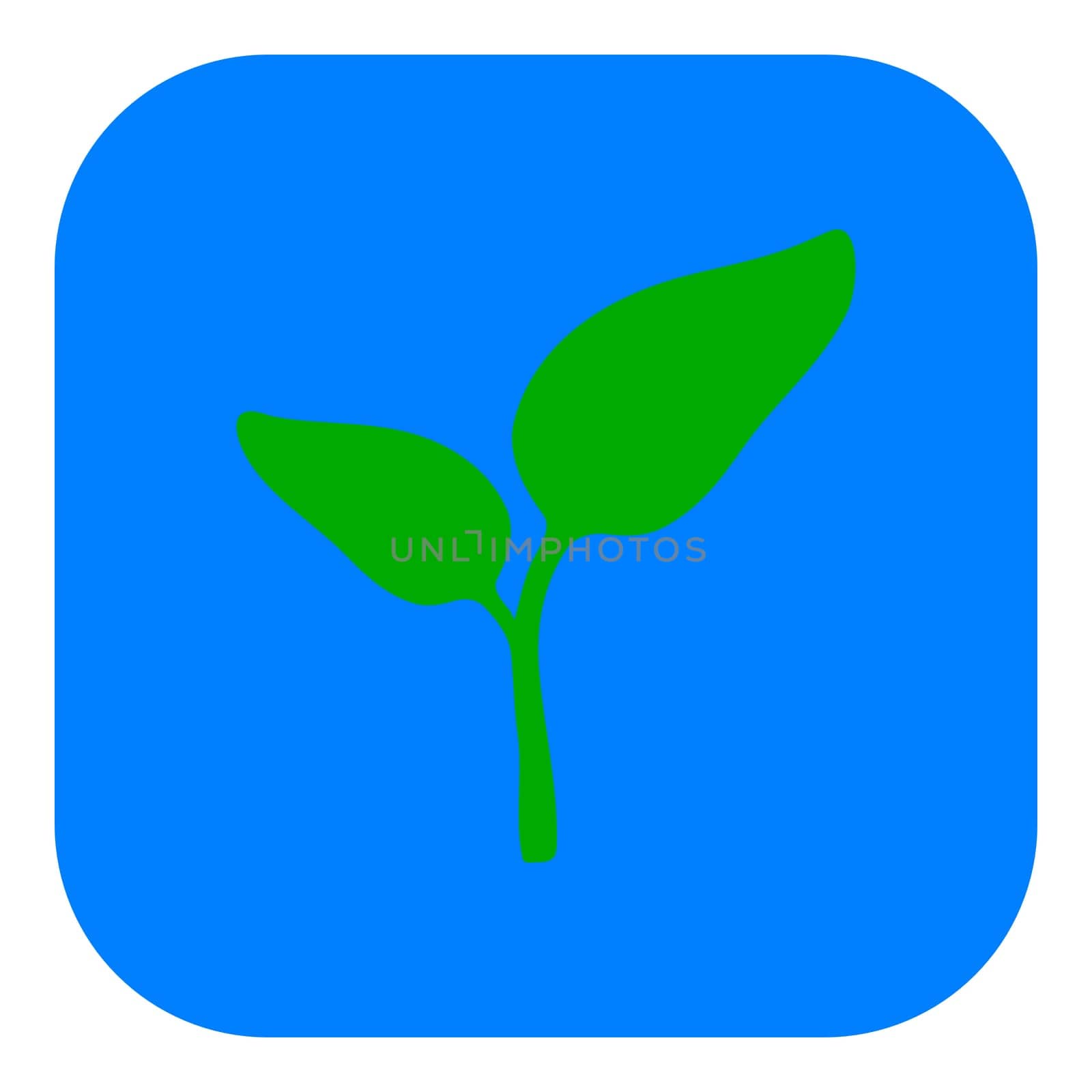 Plant and app icon